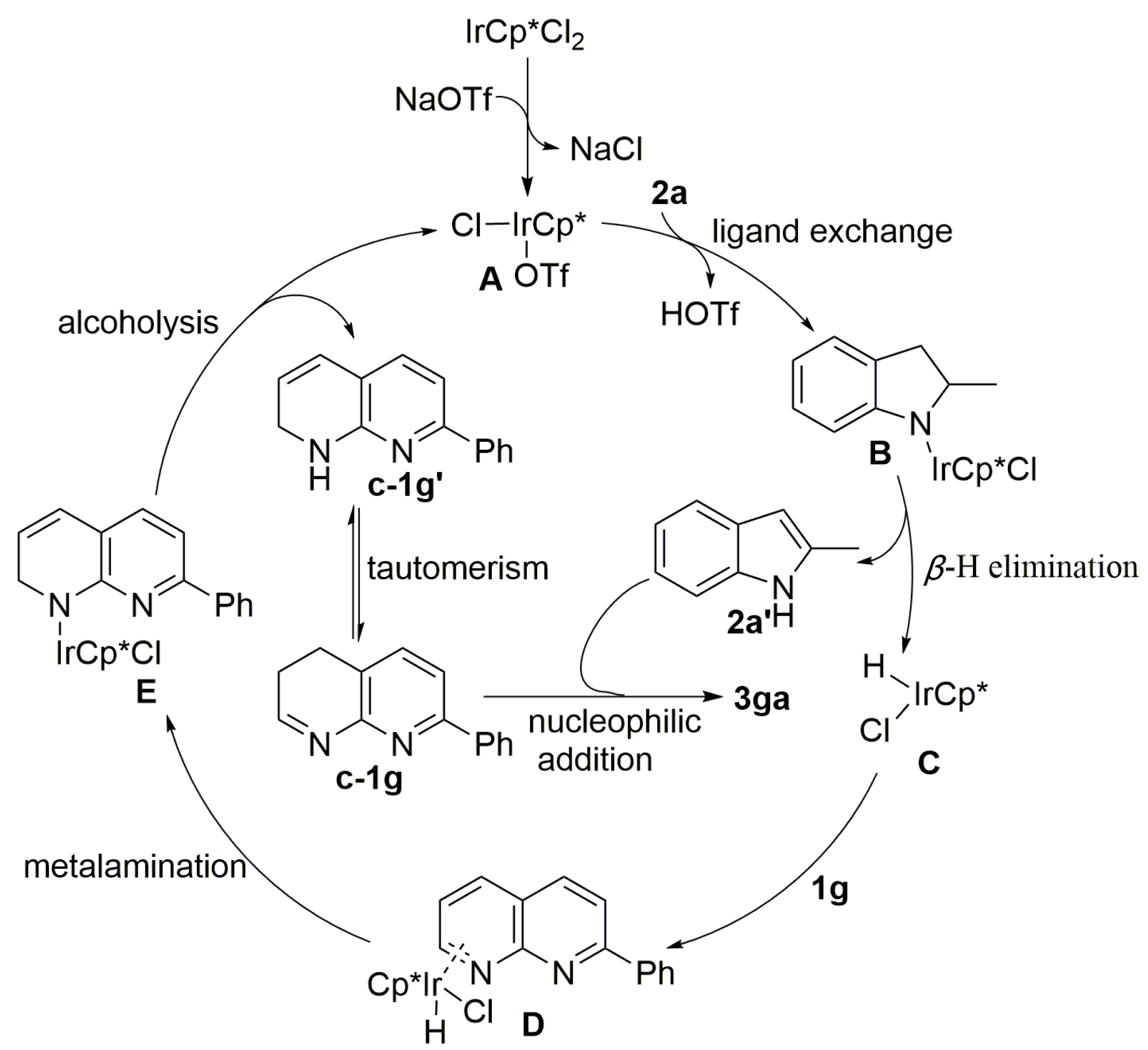 Molecules 28 07886 sch005
