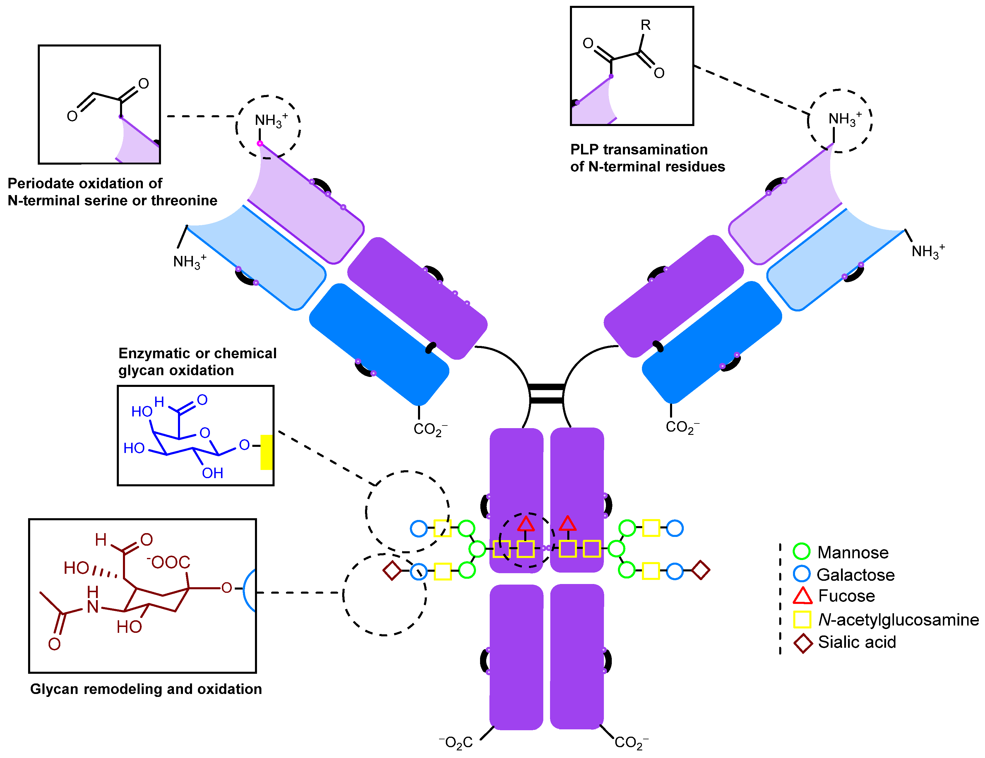 Molecules 28 07890 g003