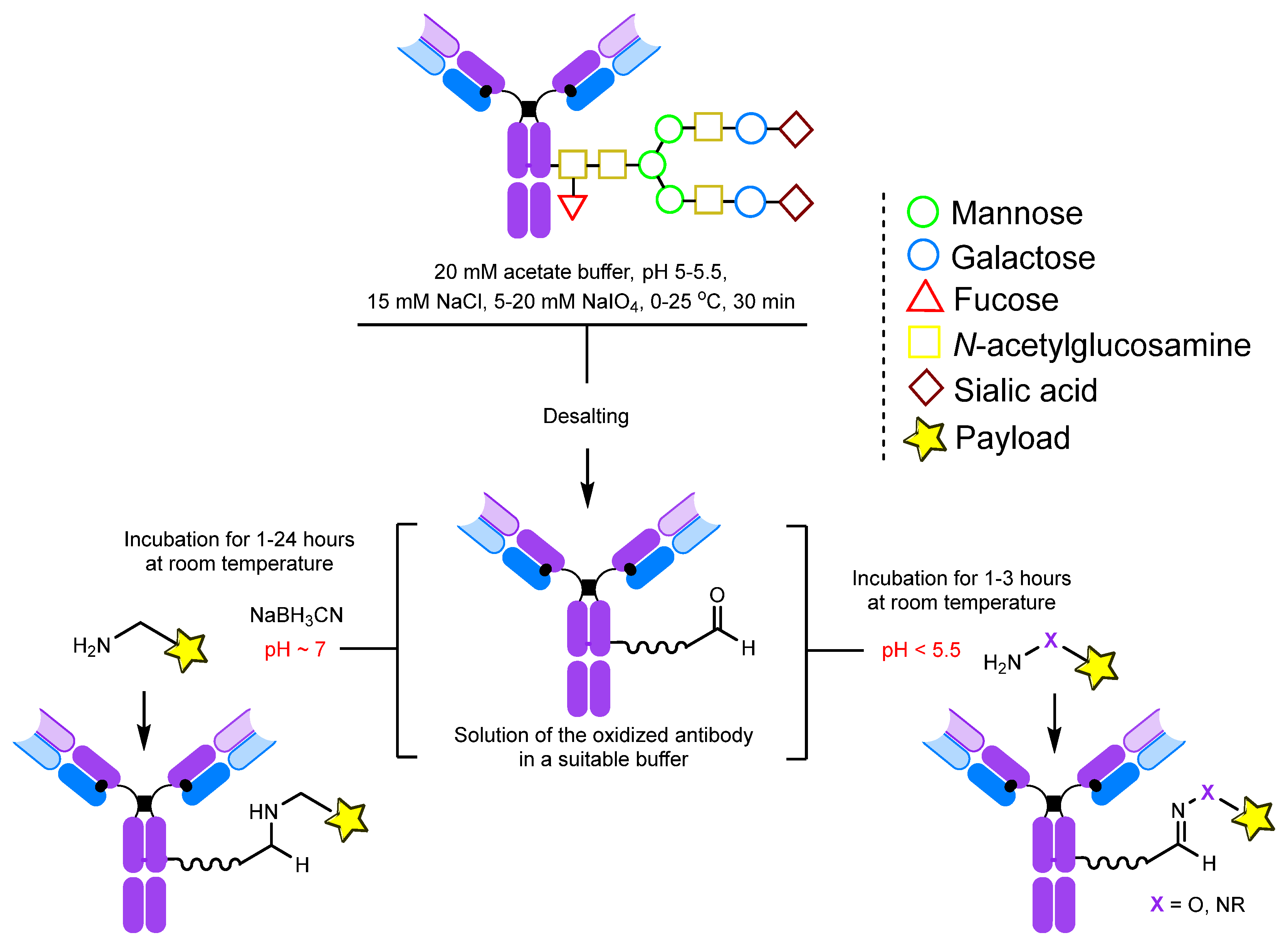 Molecules 28 07890 g006