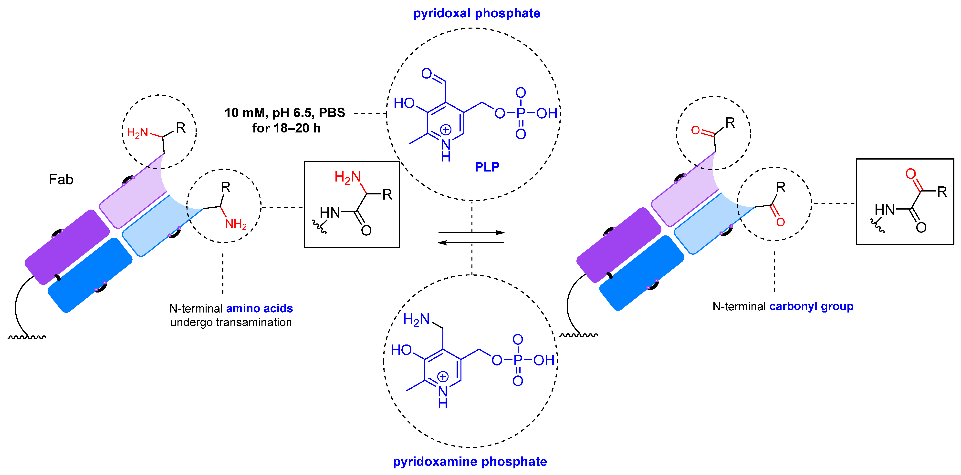 Molecules 28 07890 g007