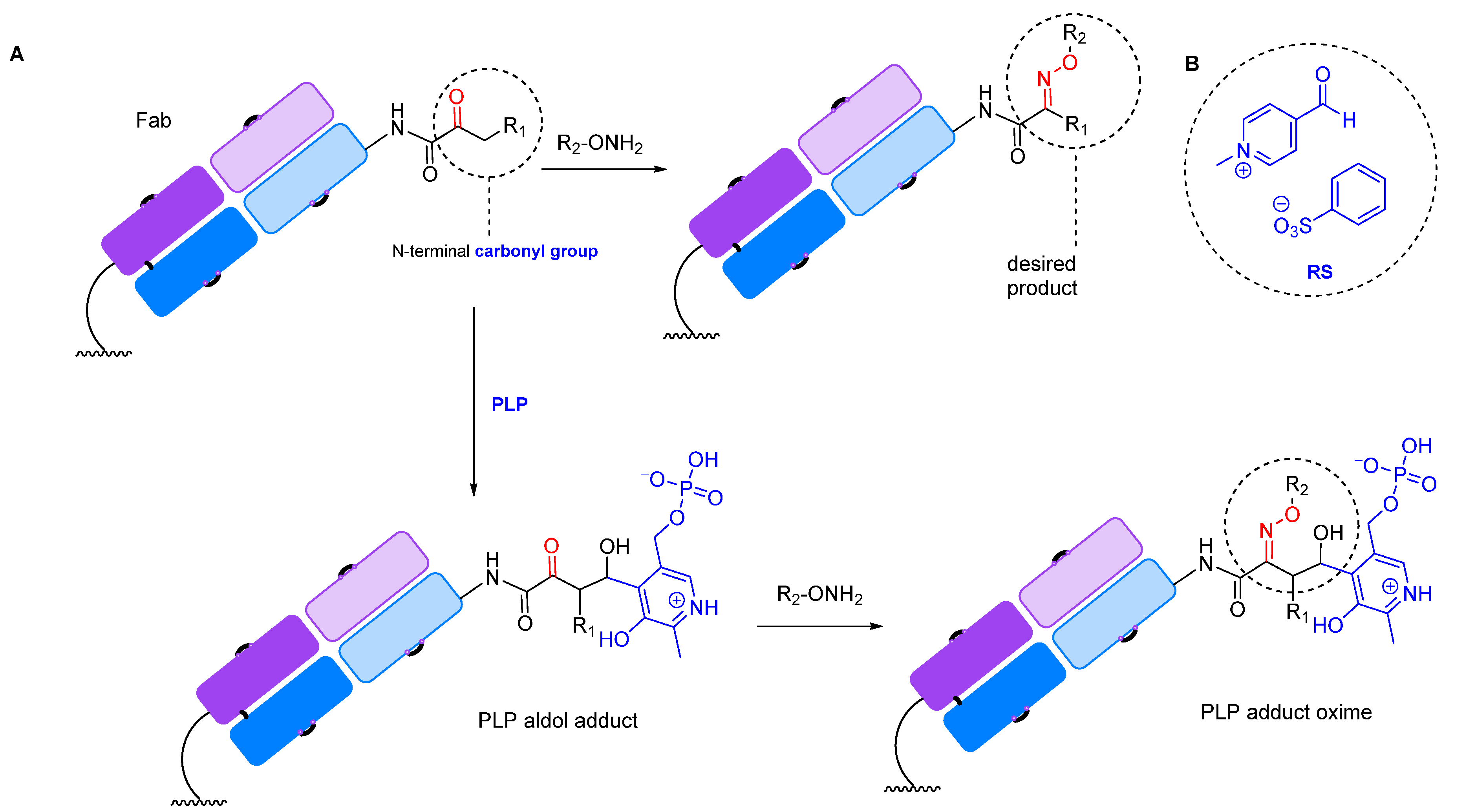 Molecules 28 07890 g008