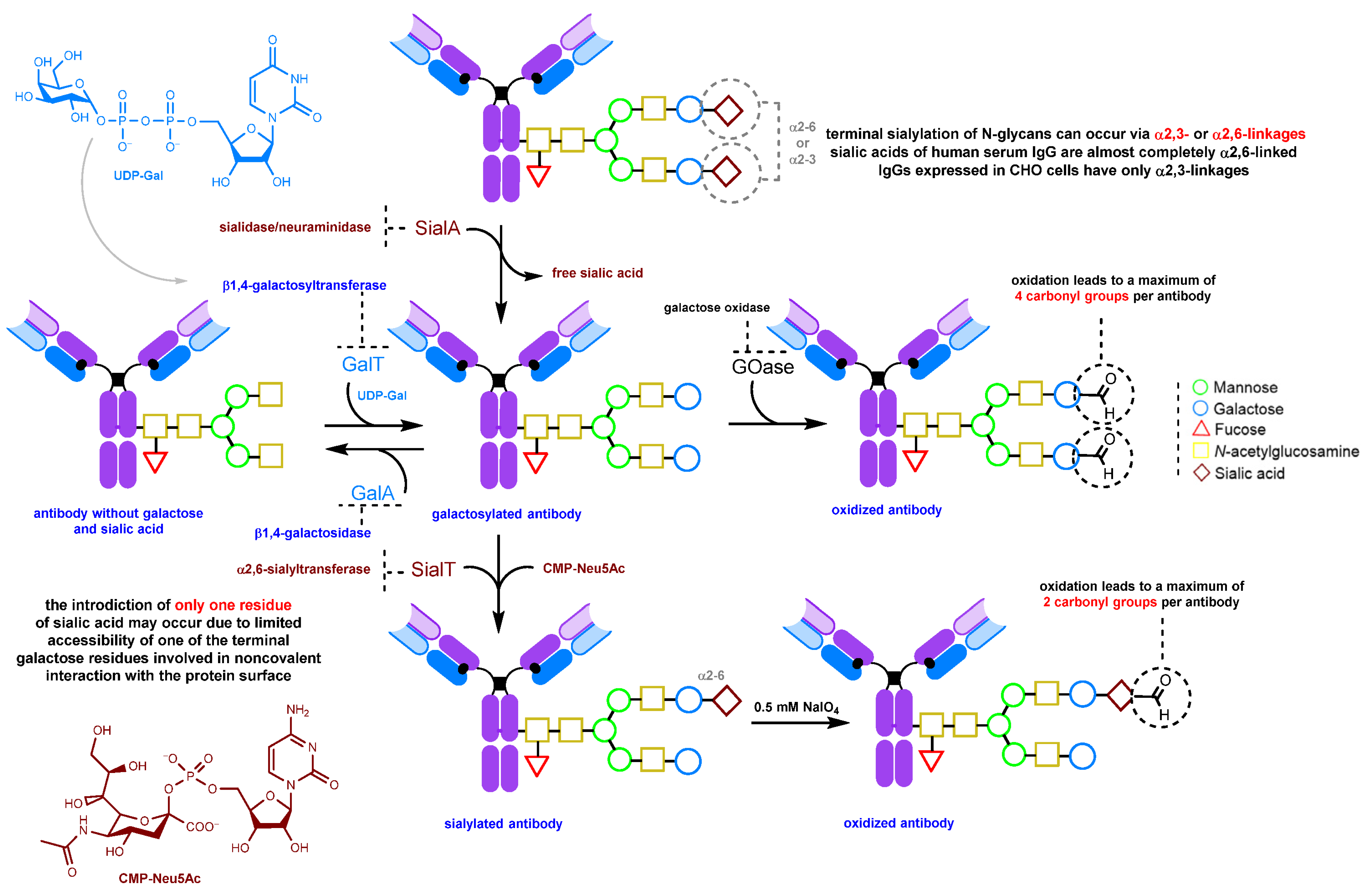 Molecules 28 07890 g009