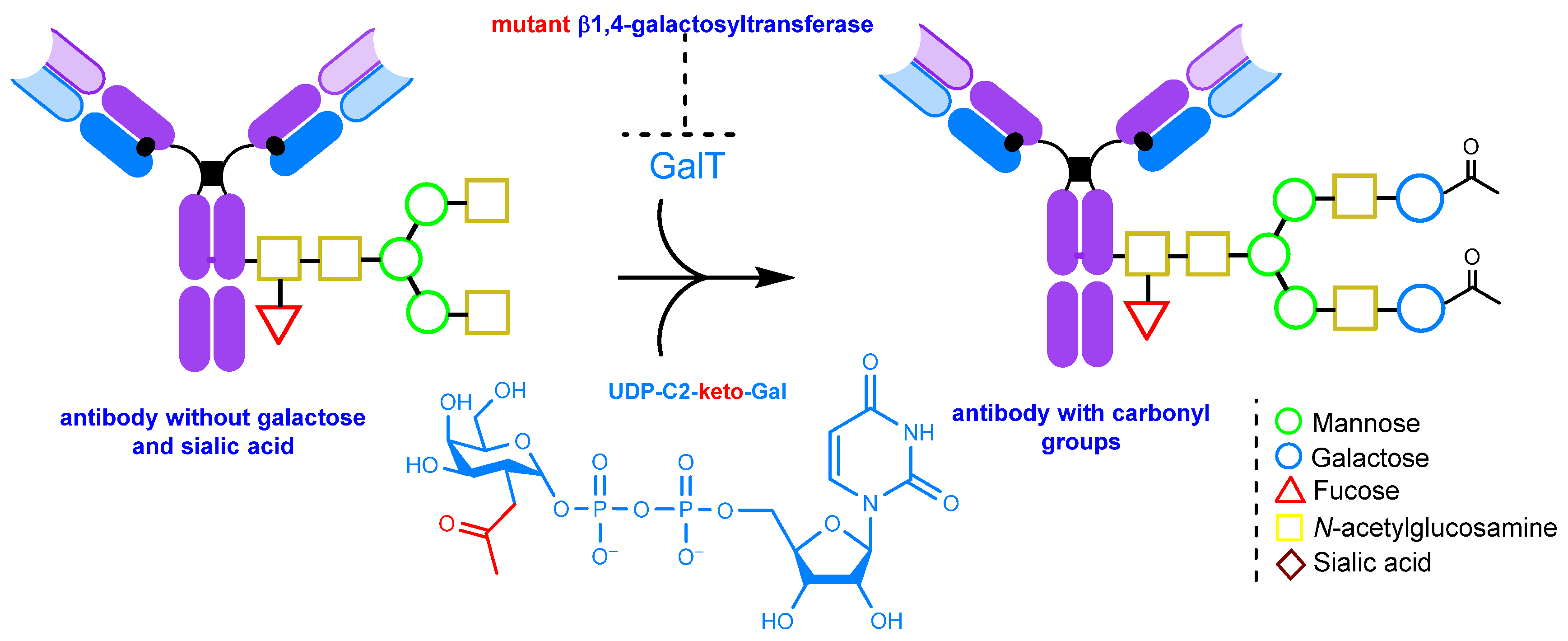 Molecules 28 07890 g010