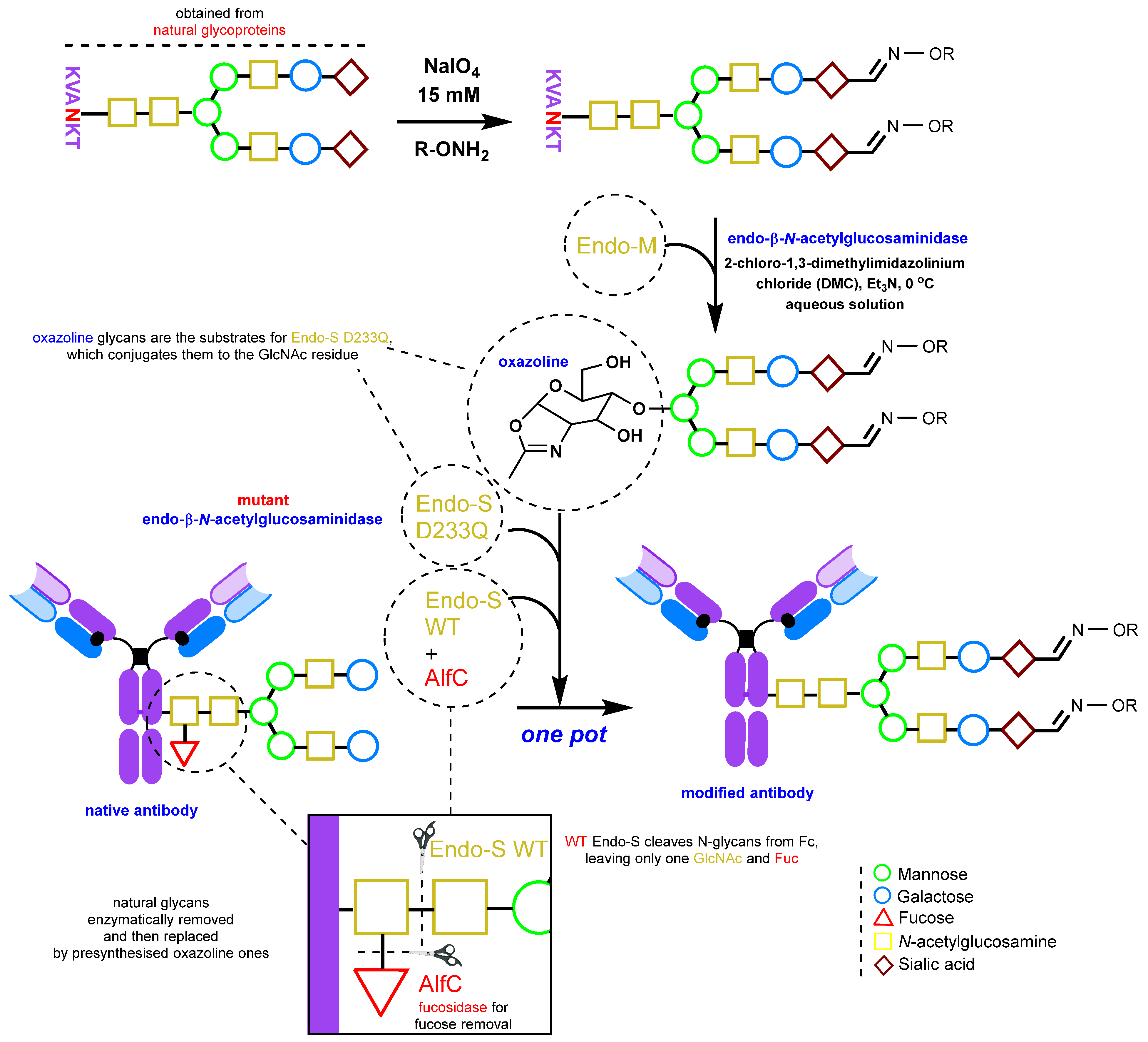 Molecules 28 07890 g011