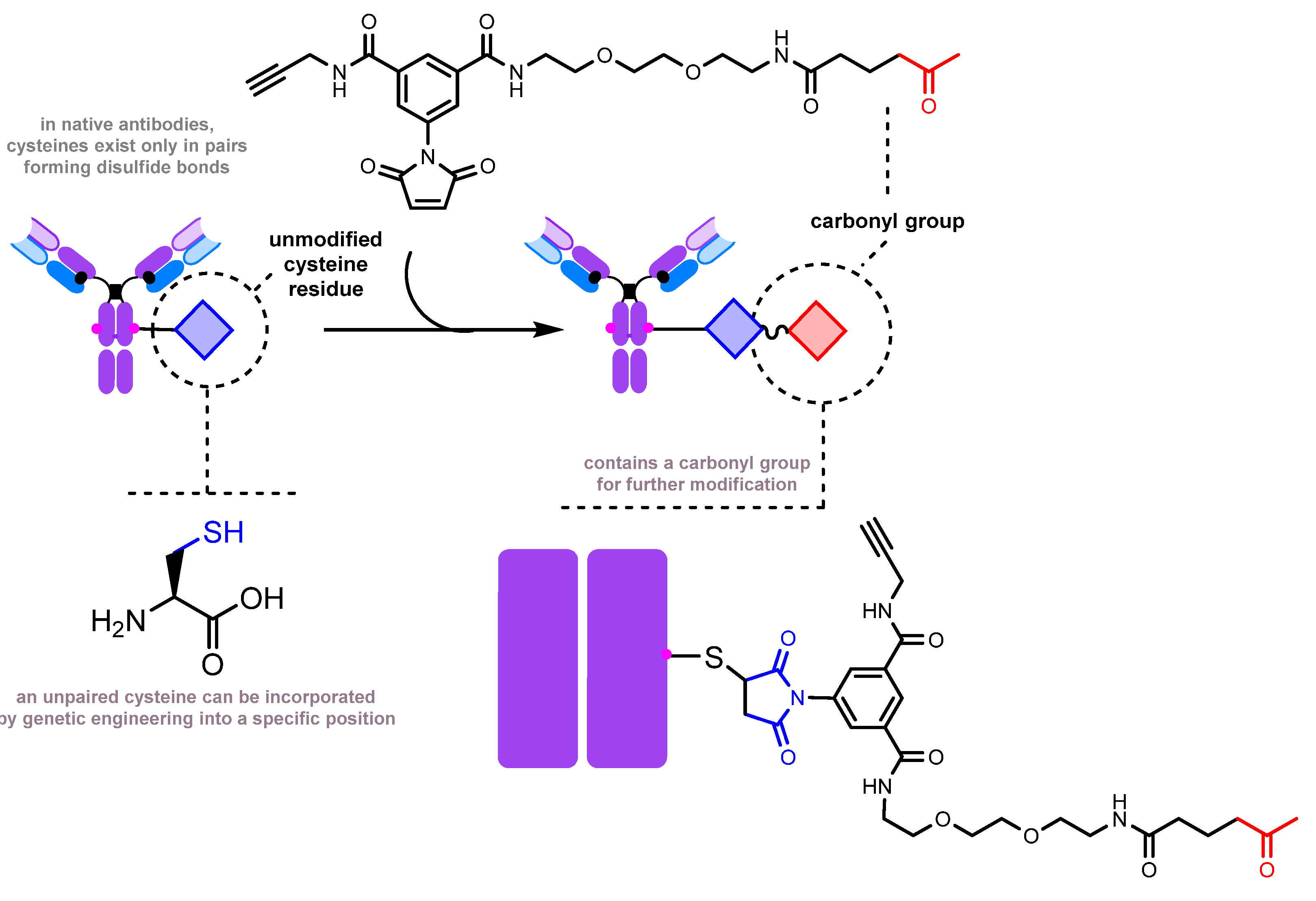 Molecules 28 07890 g013