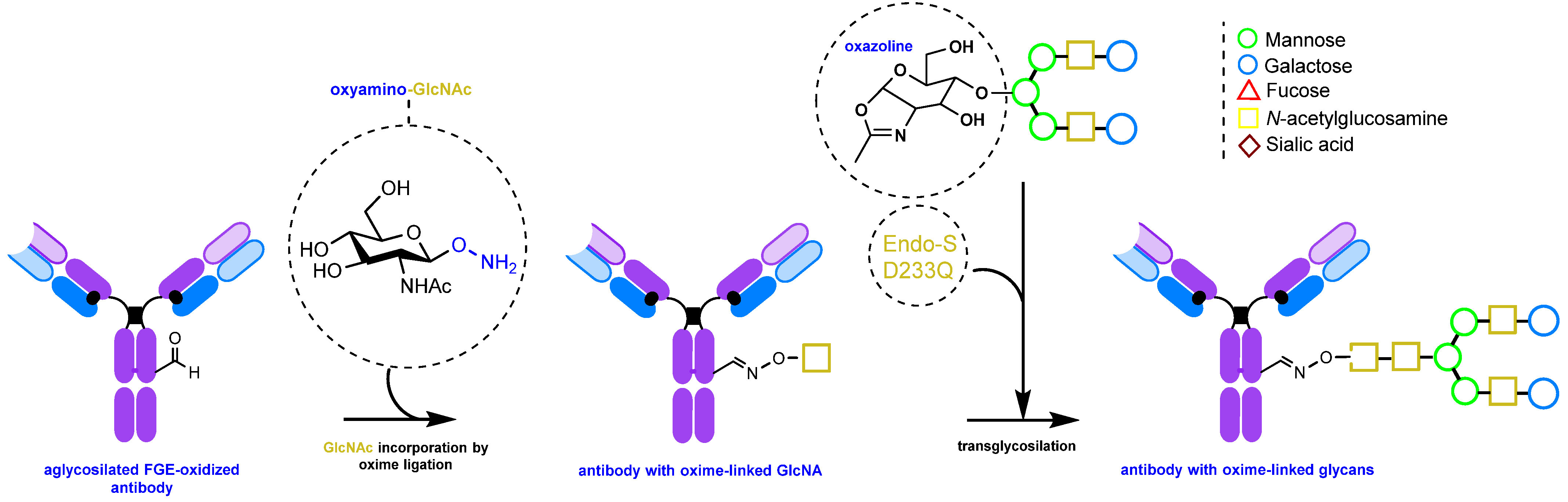 Molecules 28 07890 g015