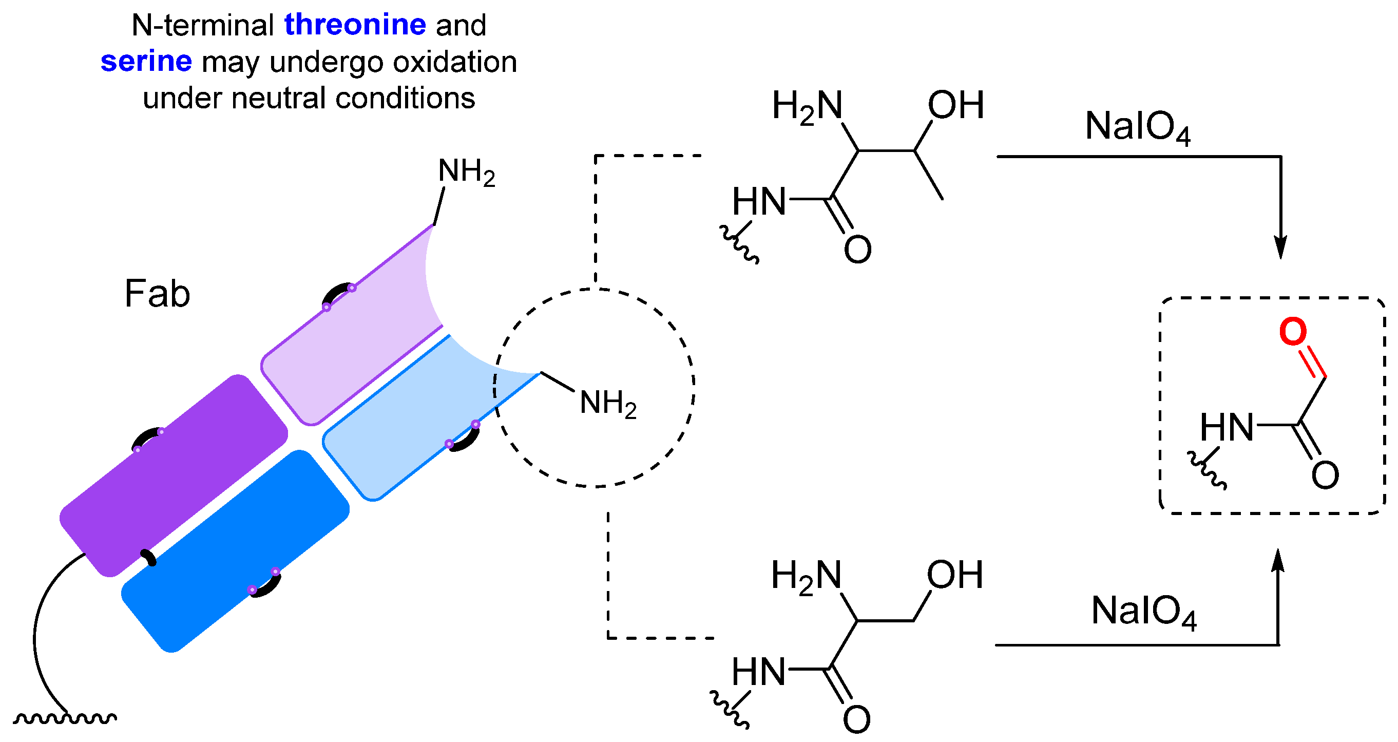 Molecules 28 07890 g016