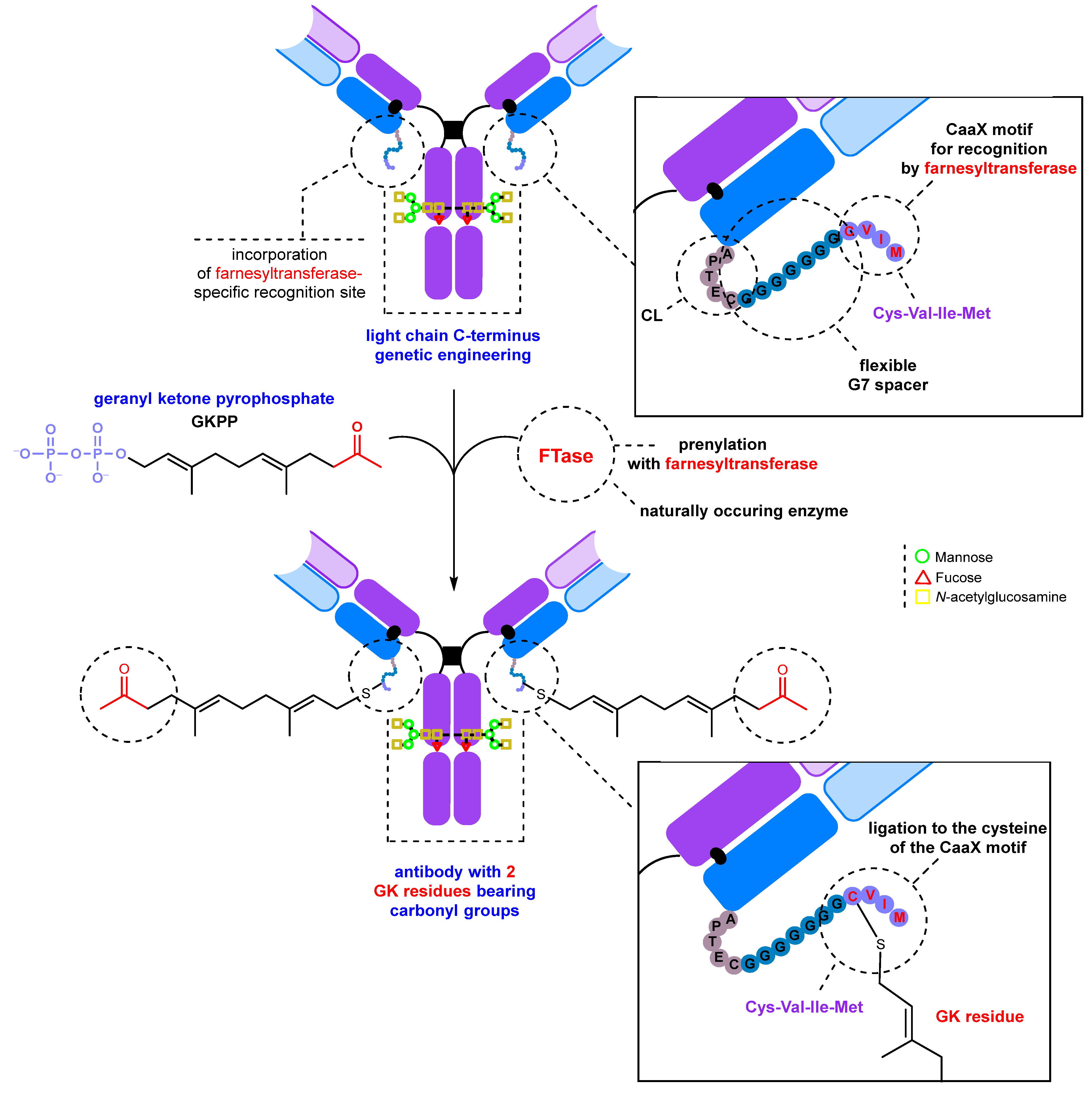 Molecules 28 07890 g017