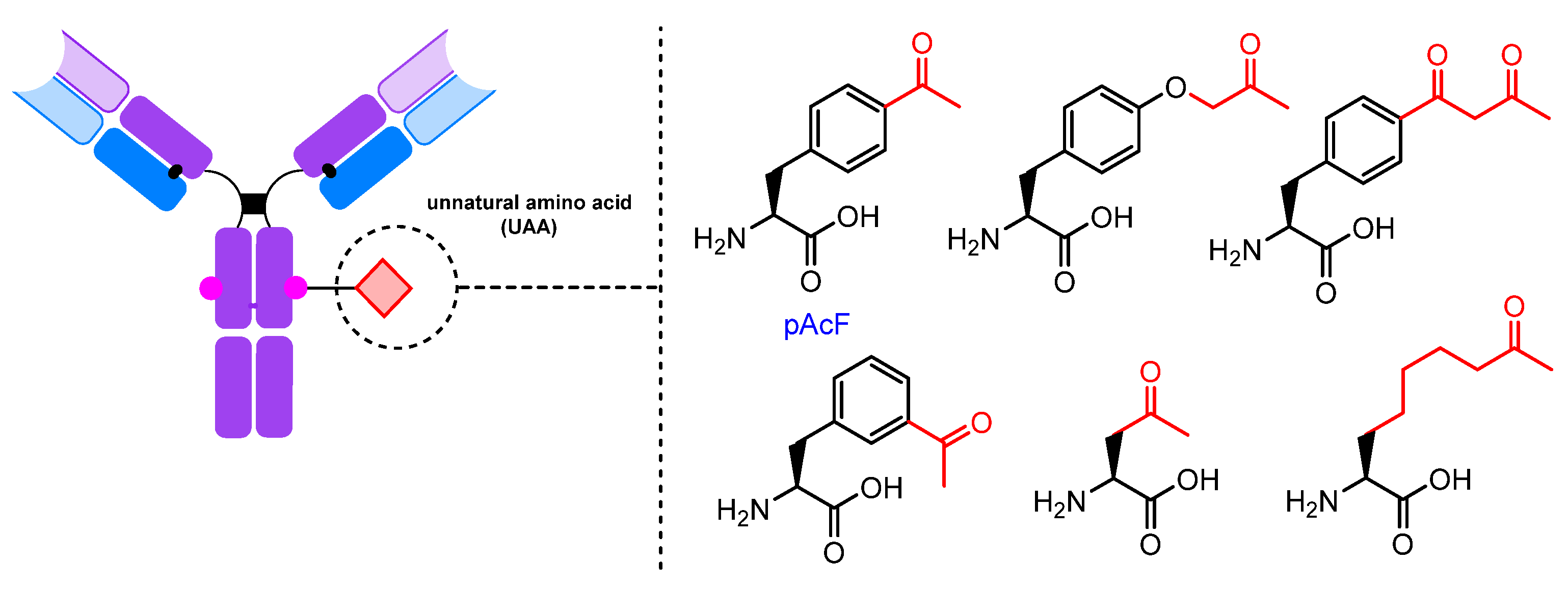 Molecules 28 07890 g019