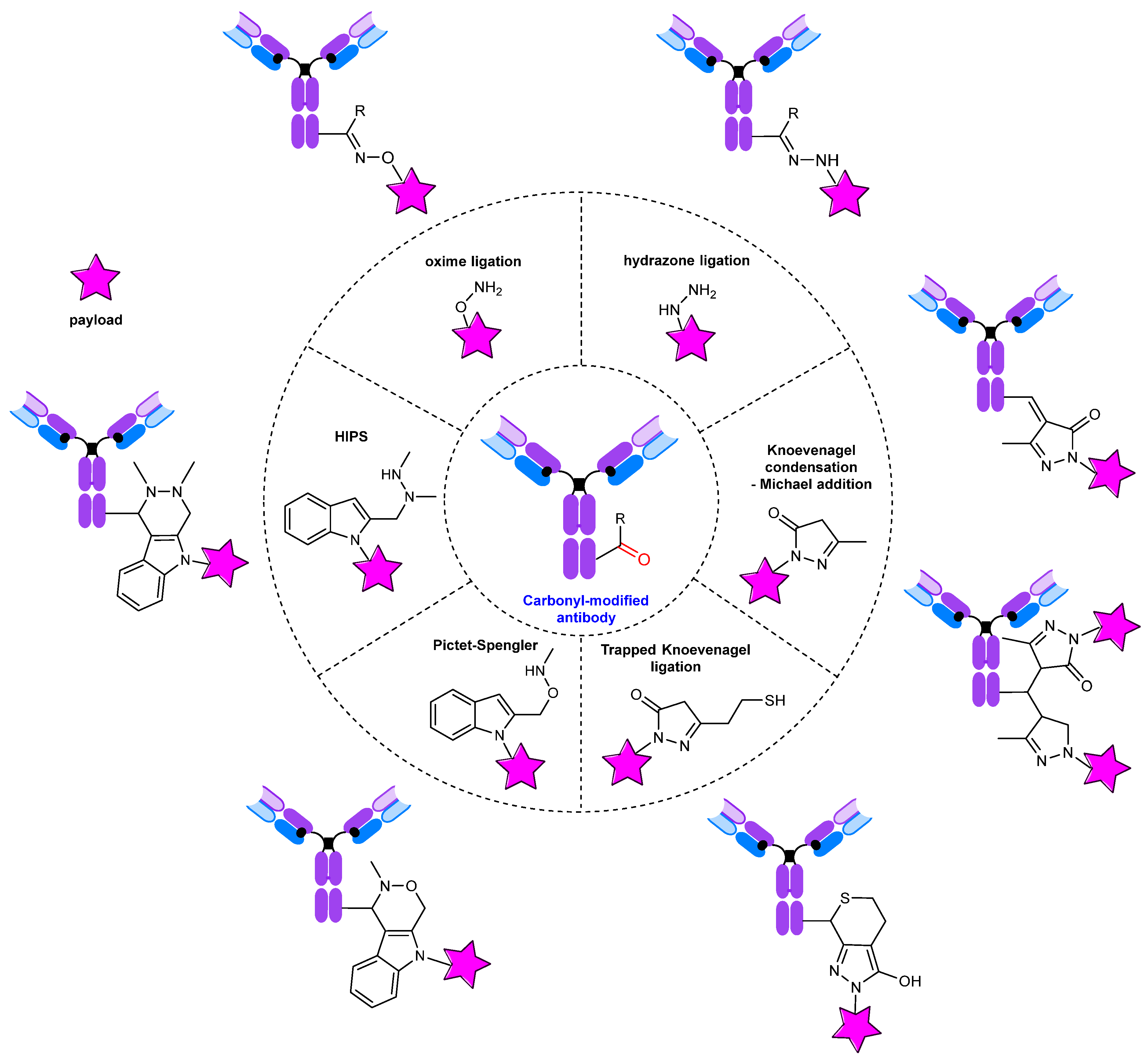 Molecules 28 07890 g020