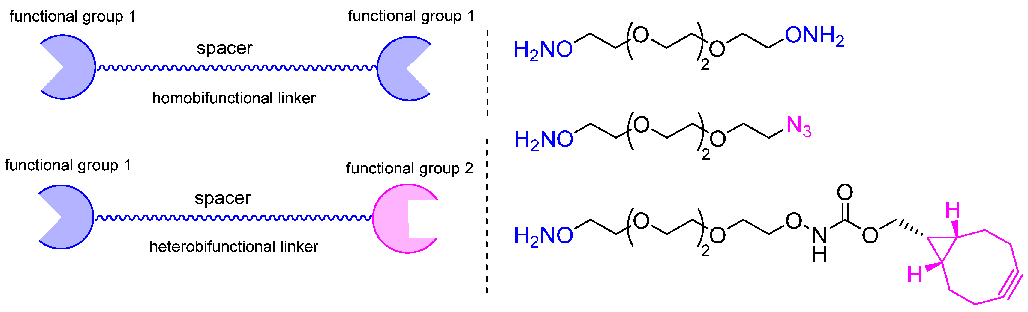 Molecules 28 07890 g021