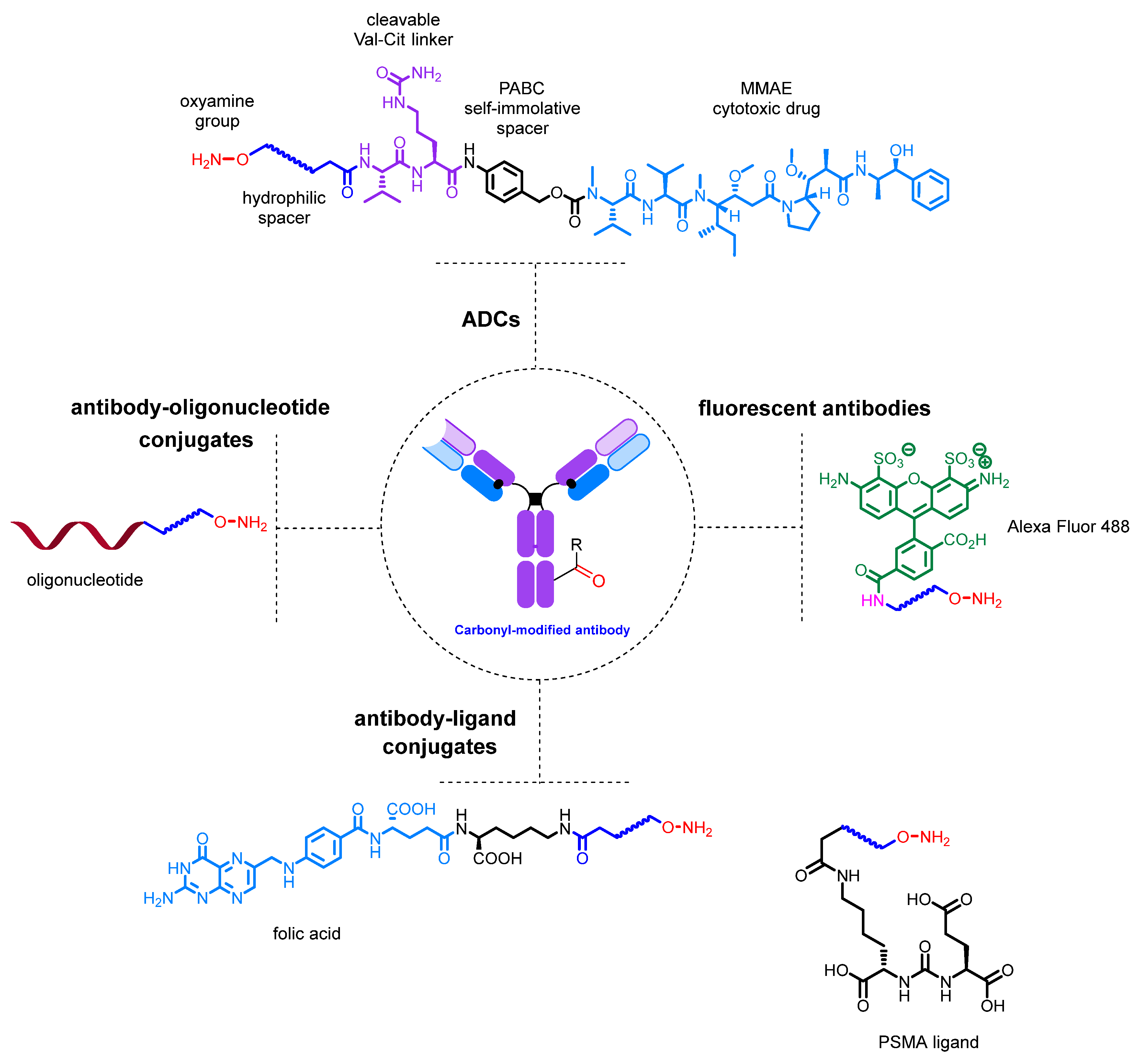 Molecules 28 07890 g023