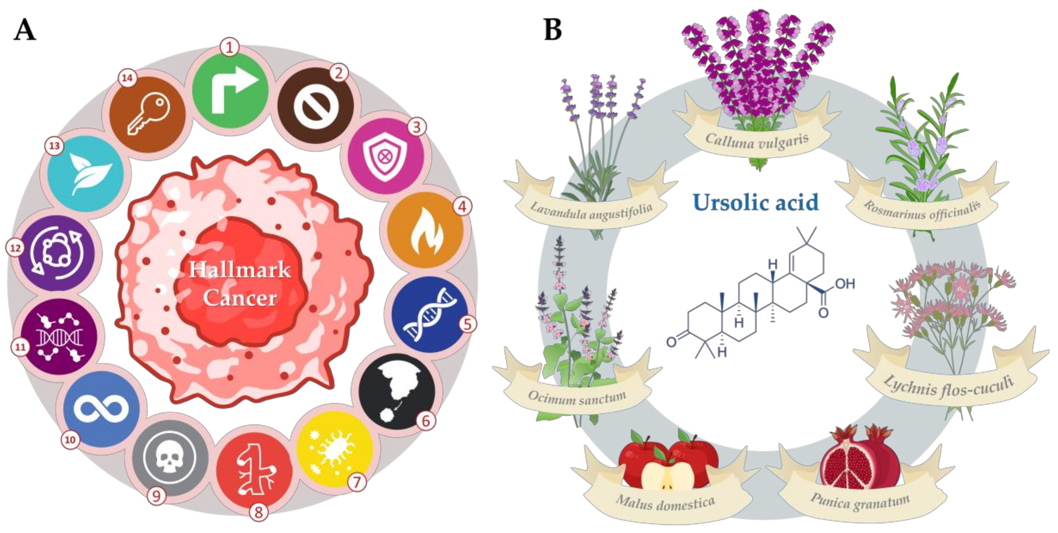 Molecules 28 07897 g001