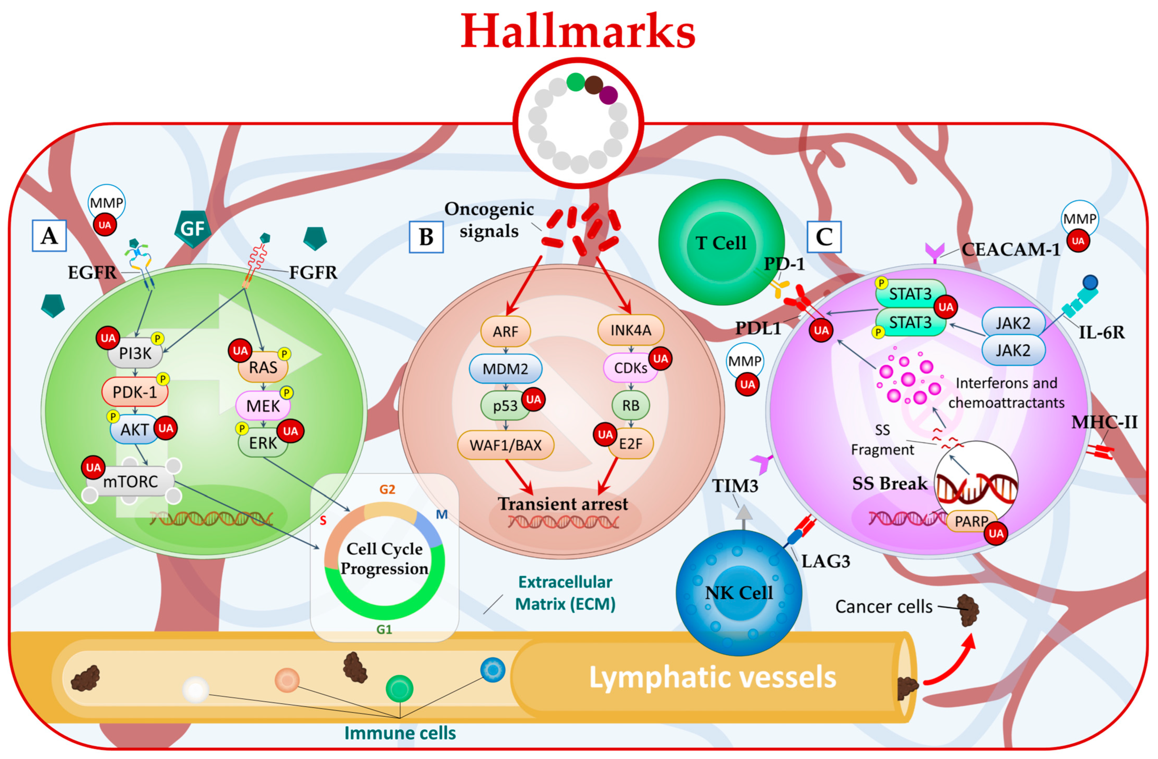 Molecules 28 07897 g002