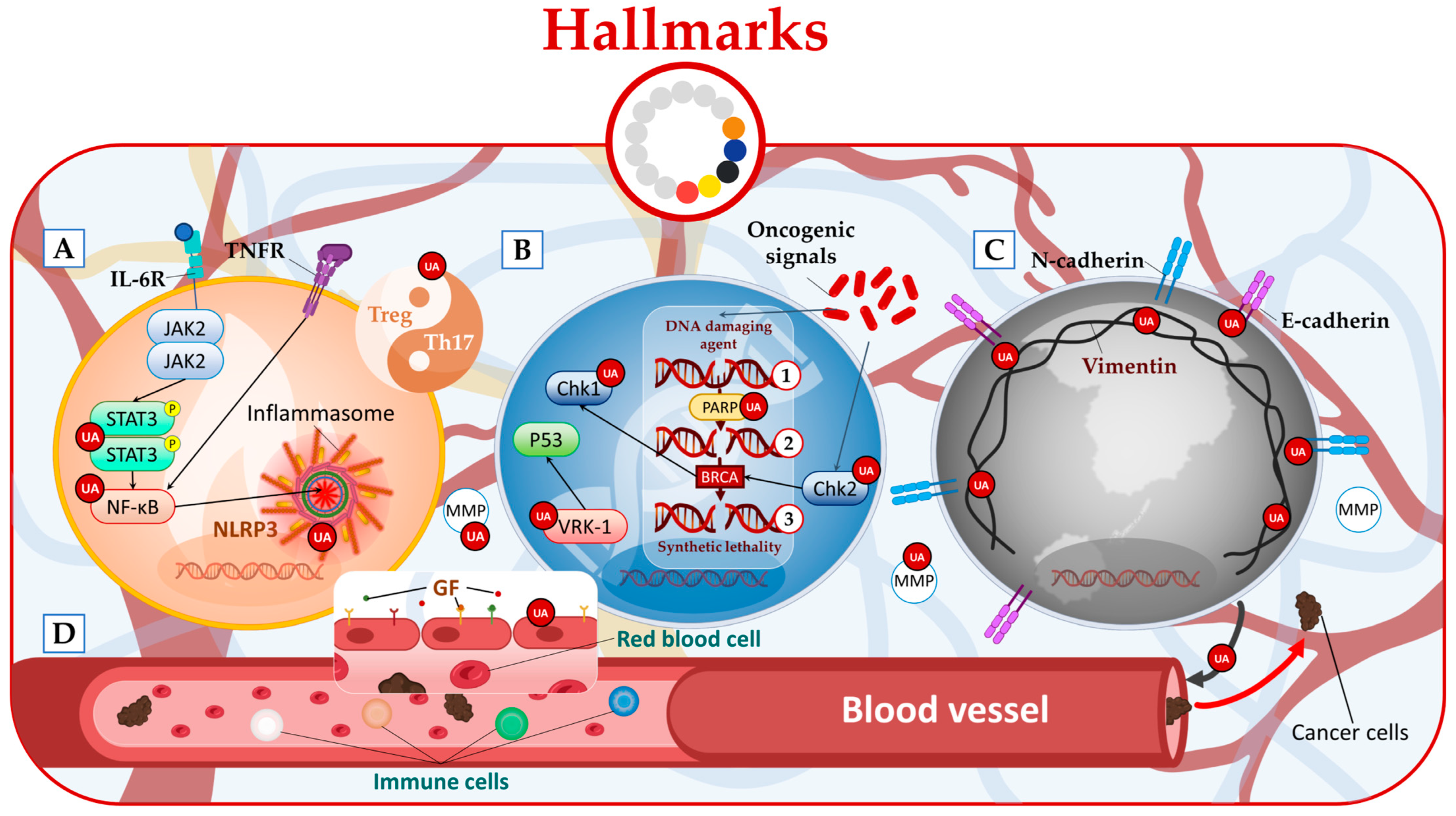 Molecules 28 07897 g003