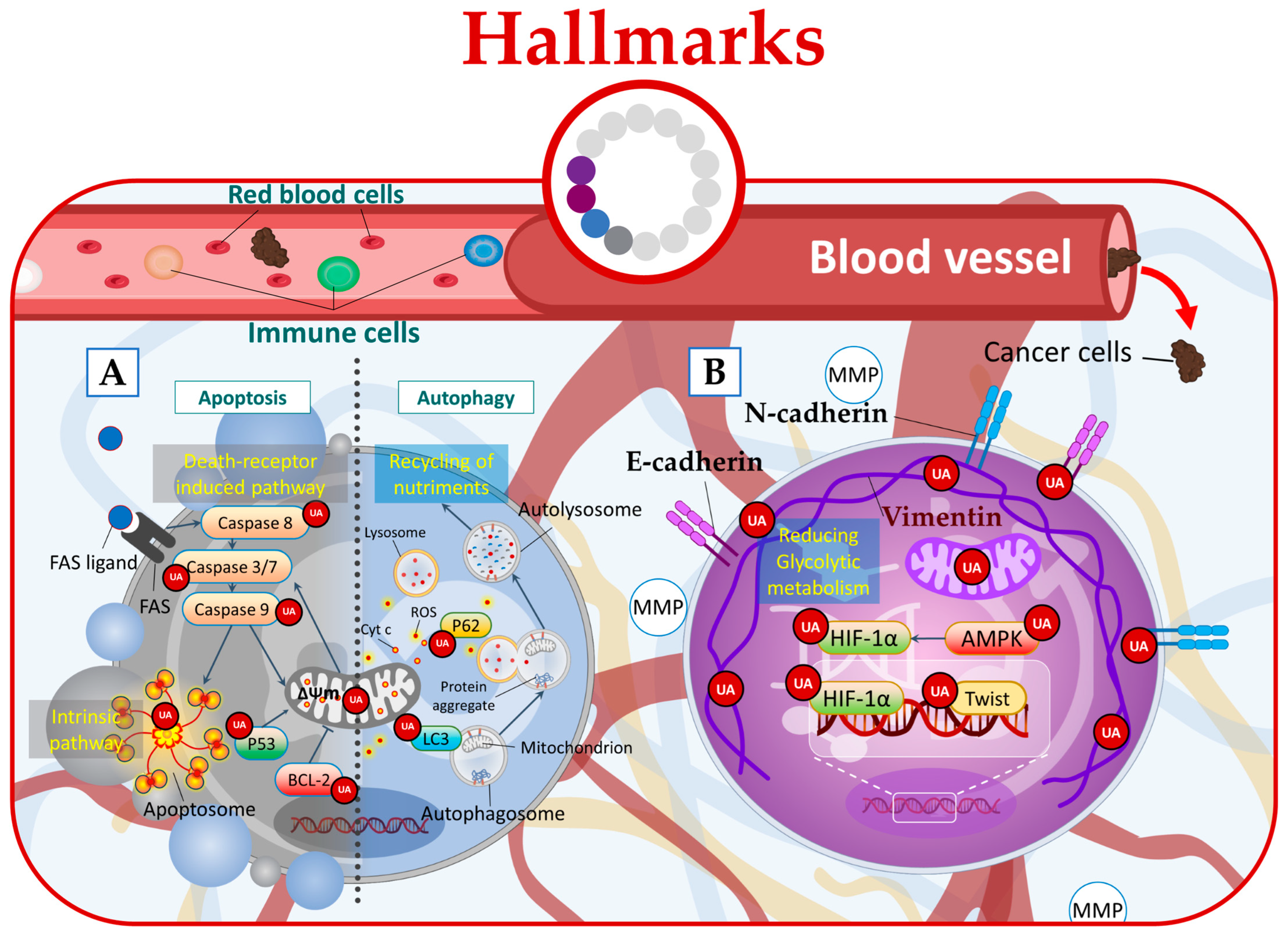 Molecules 28 07897 g004