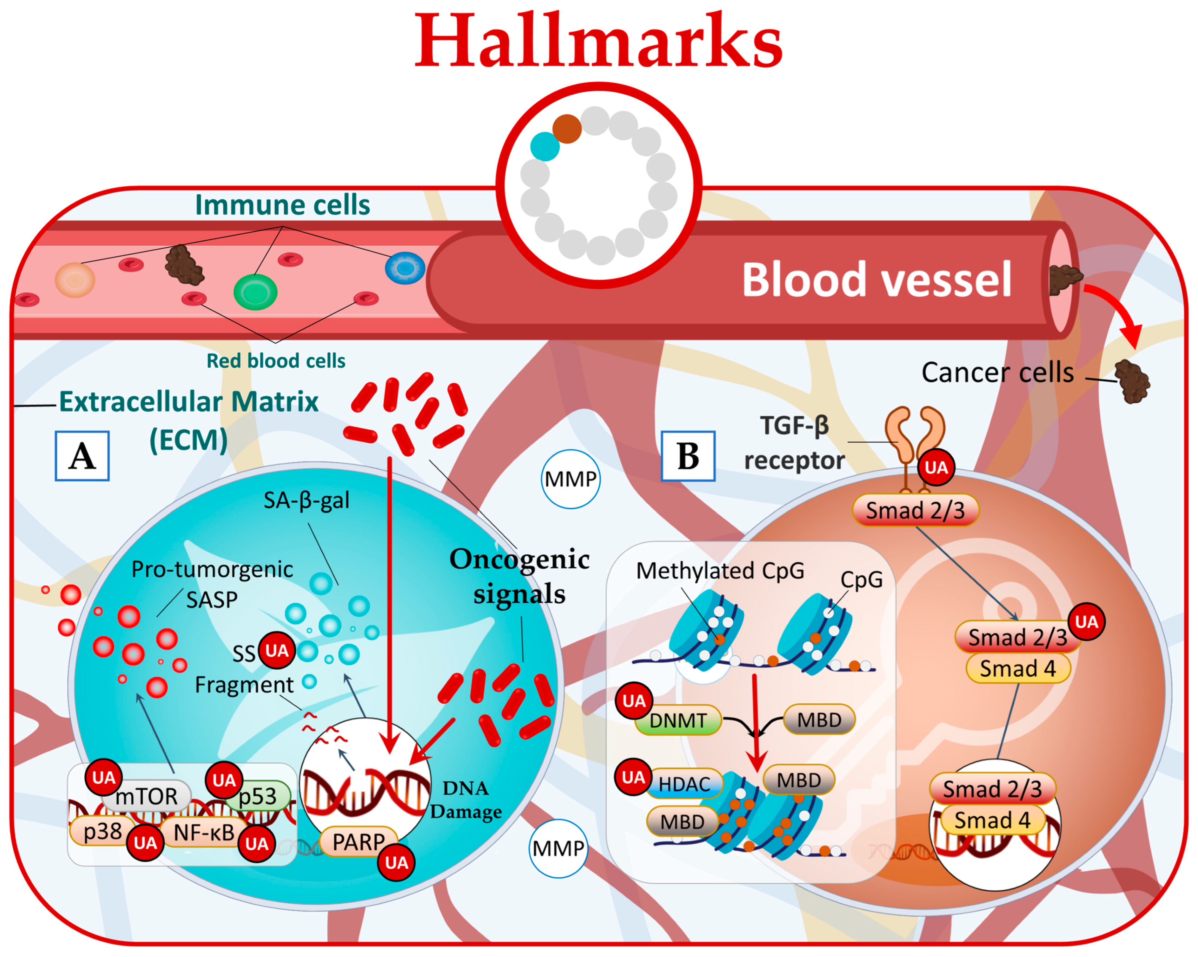 Molecules 28 07897 g005