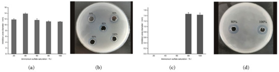 Two Antimicrobial Peptides Derived from Bacillus and Their Properties