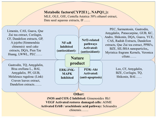 Pume。 Natural Products for Acetaminophen-Induced Acute Liver