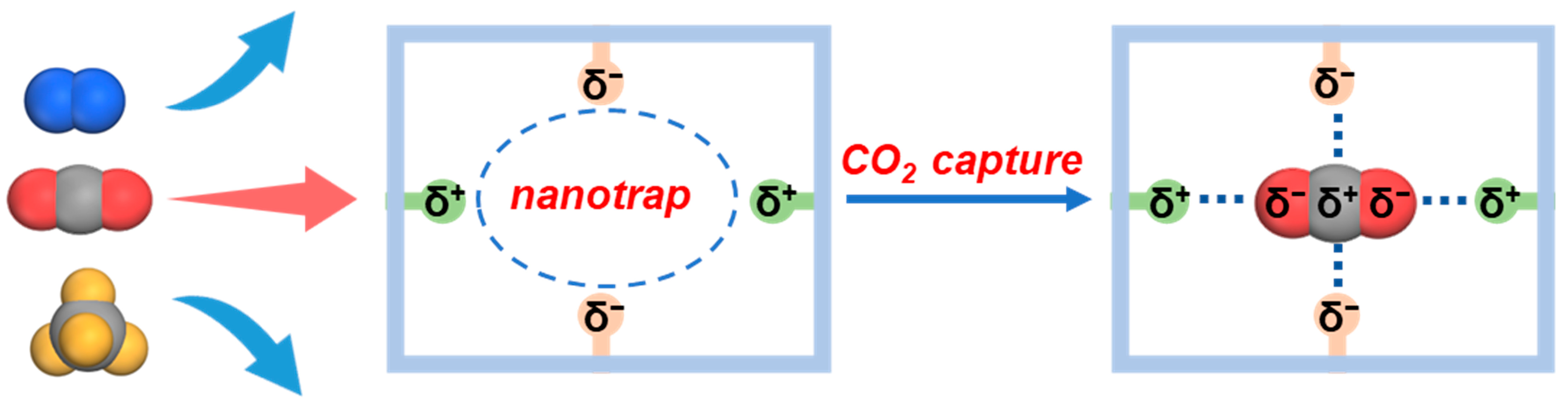Molecules 28 07908 g001