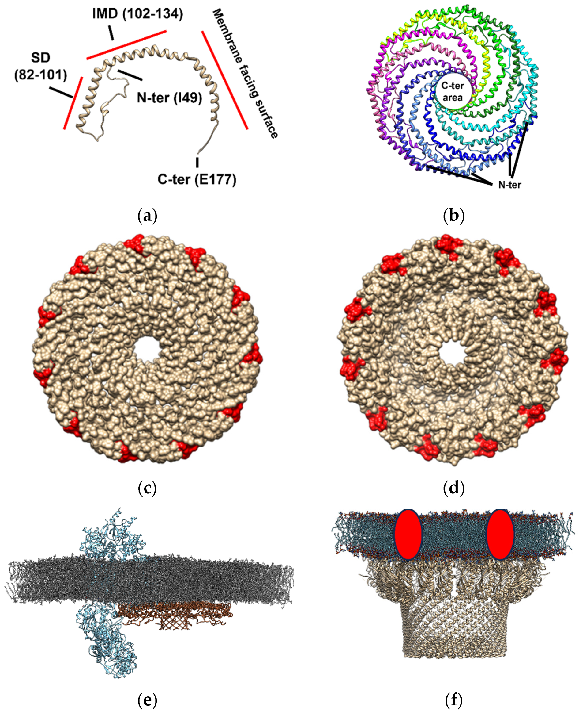 Molecules 28 07909 g002
