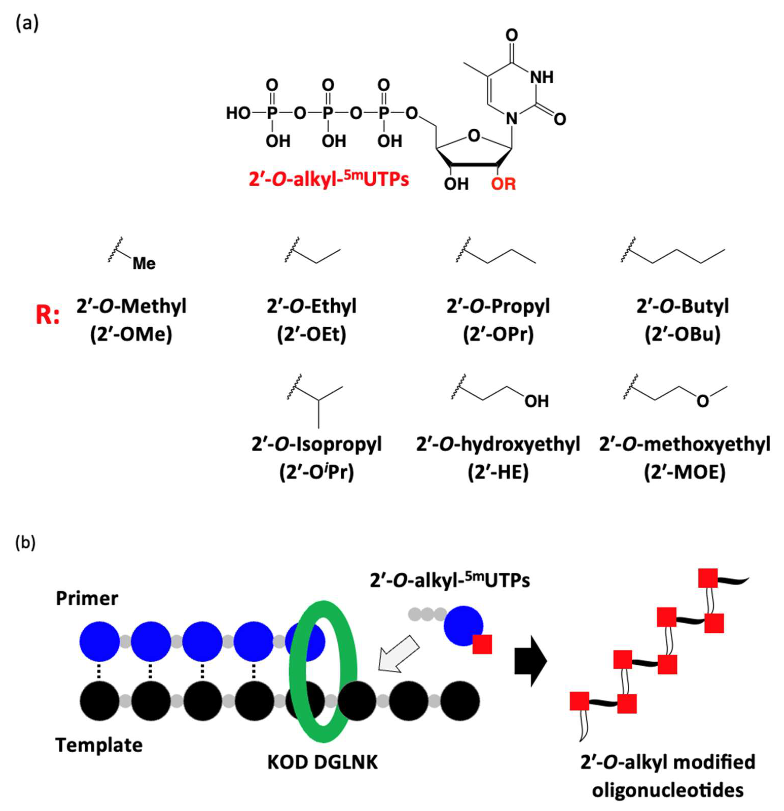 Molecules 28 07911 g001