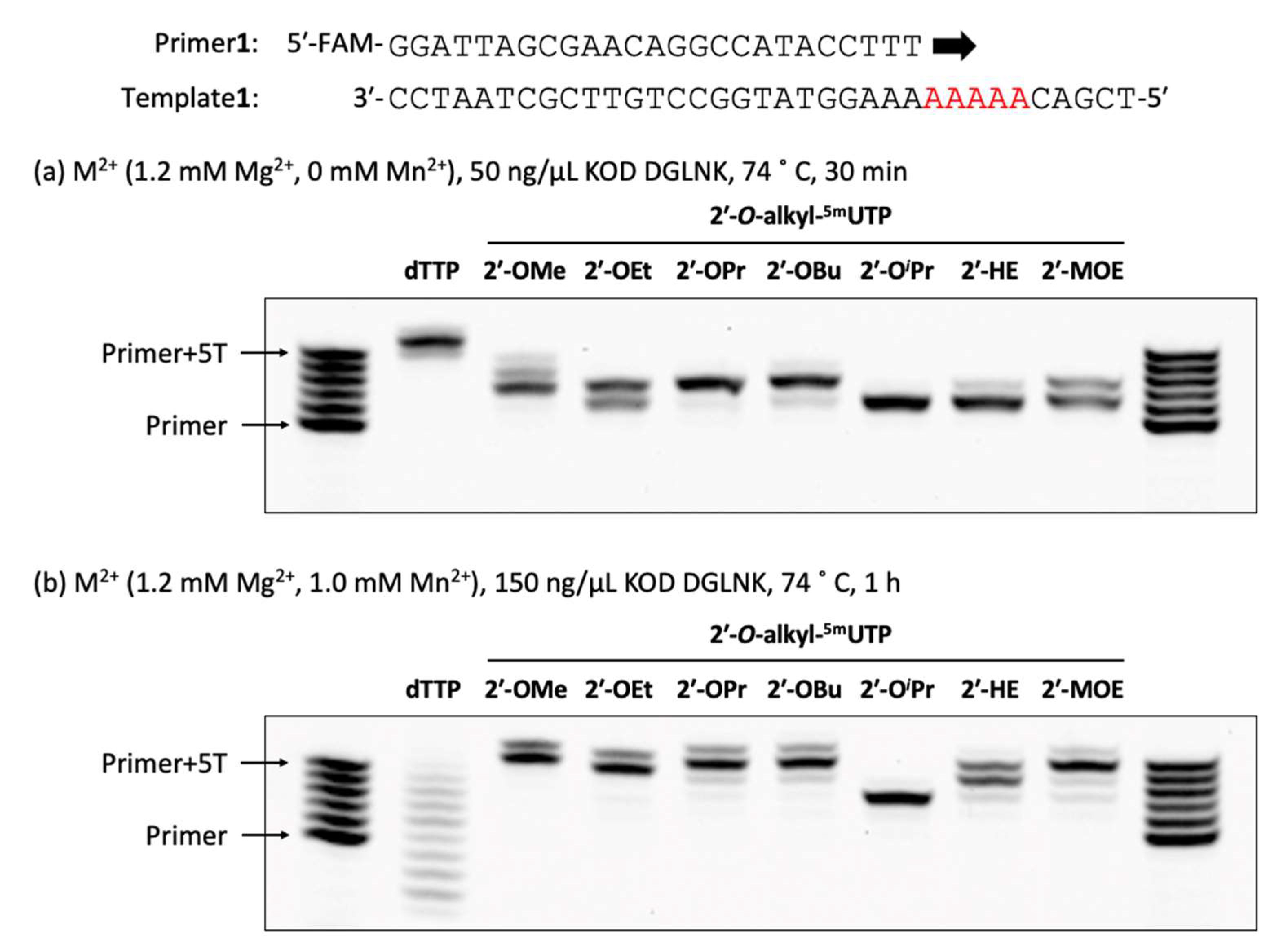 Molecules 28 07911 g002