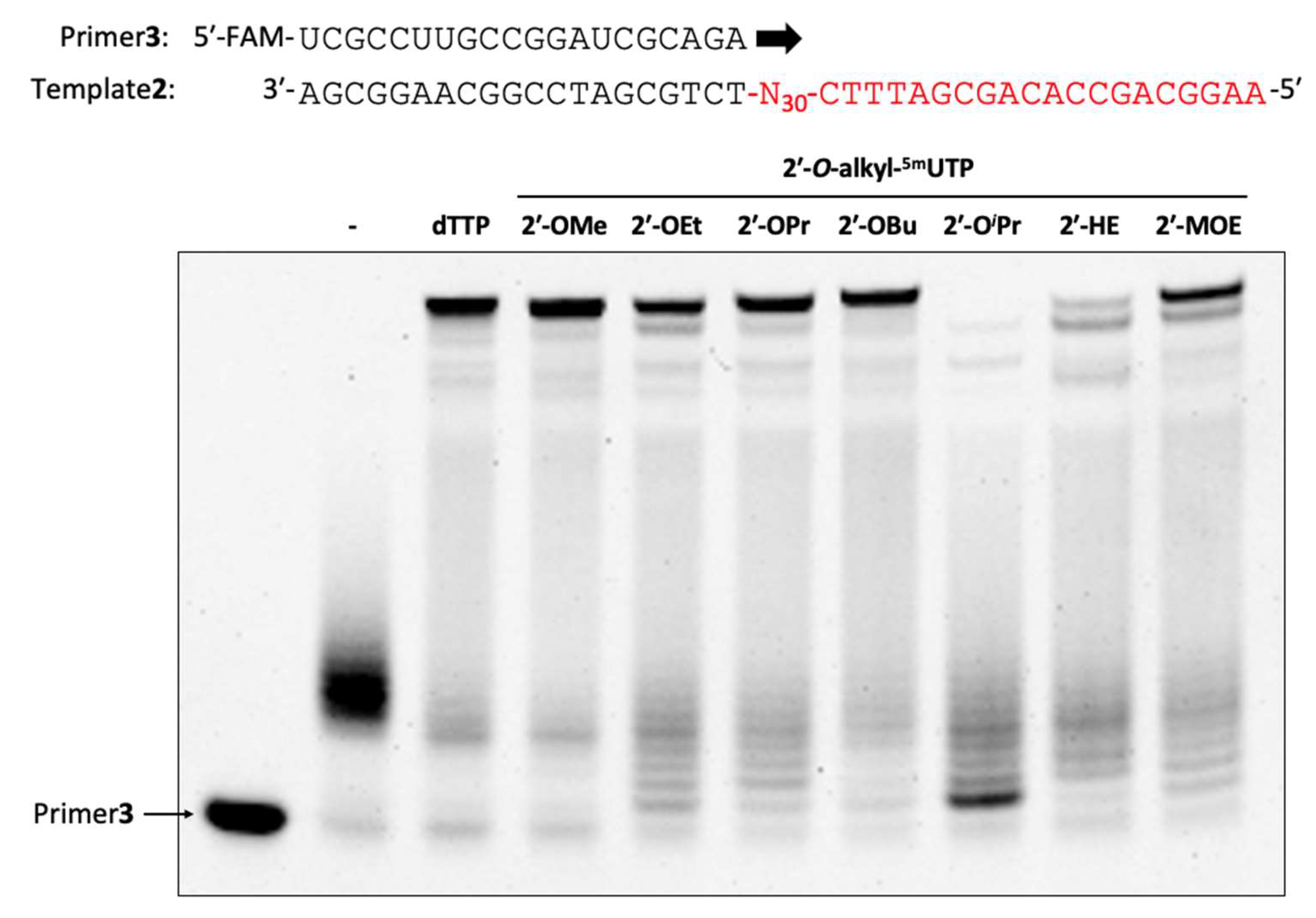 Molecules 28 07911 g003
