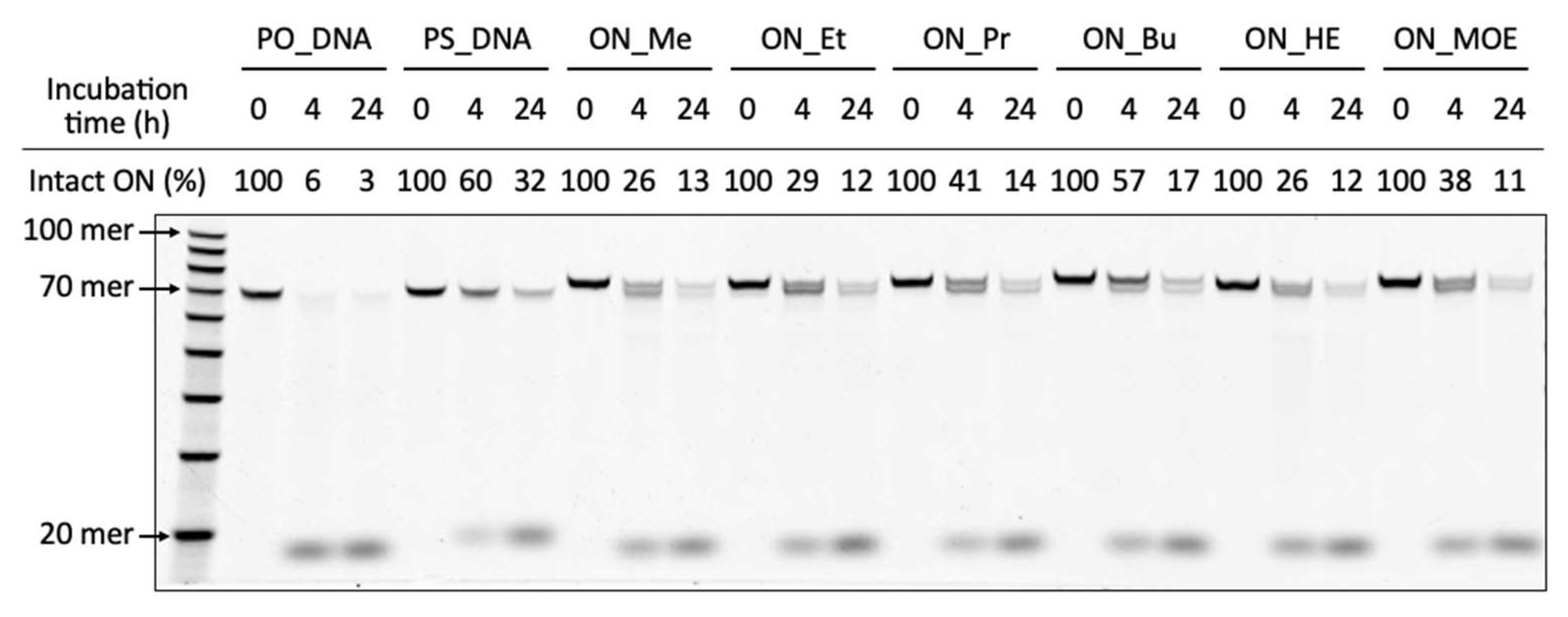 Molecules 28 07911 g005