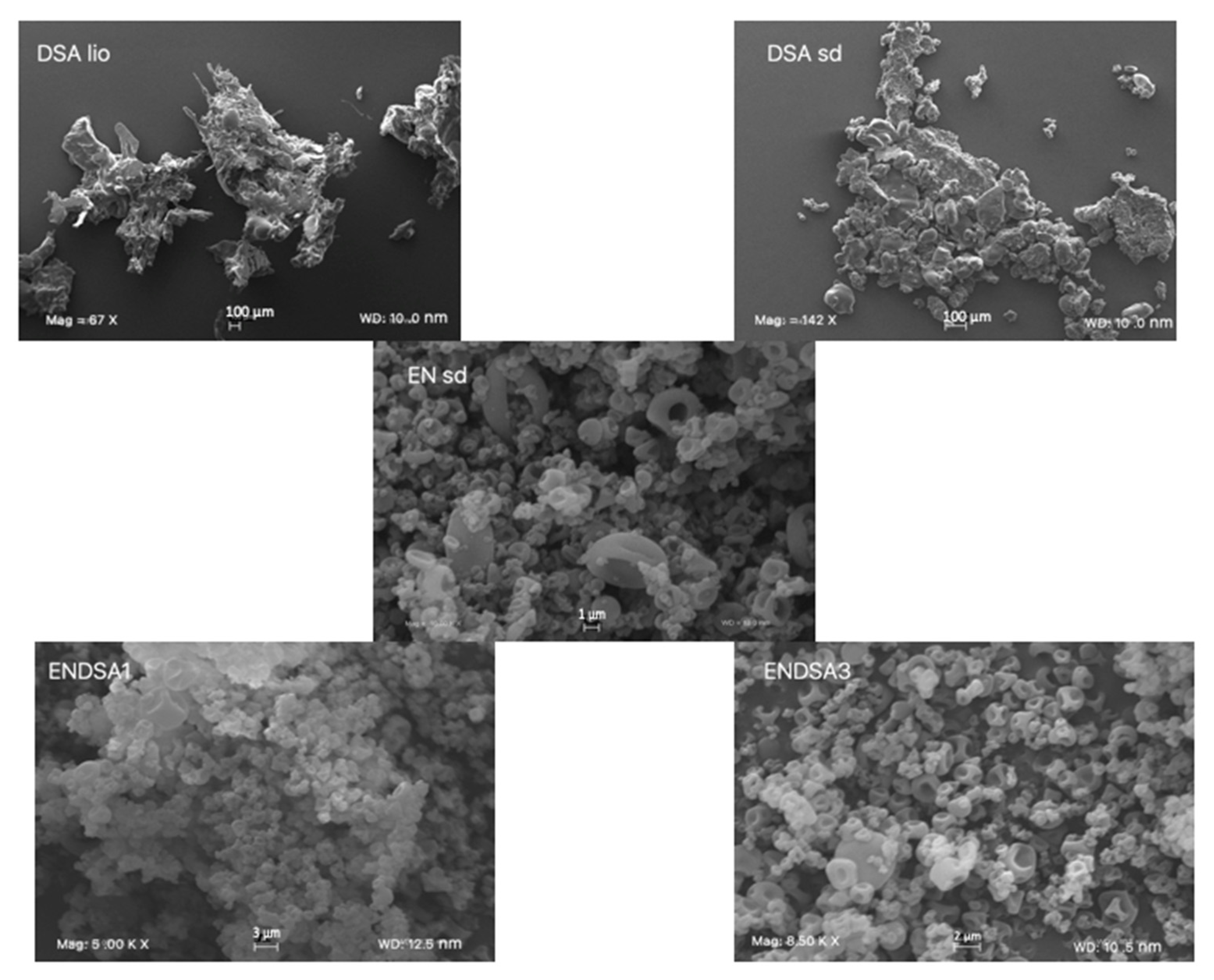 Molecules 28 07913 g002