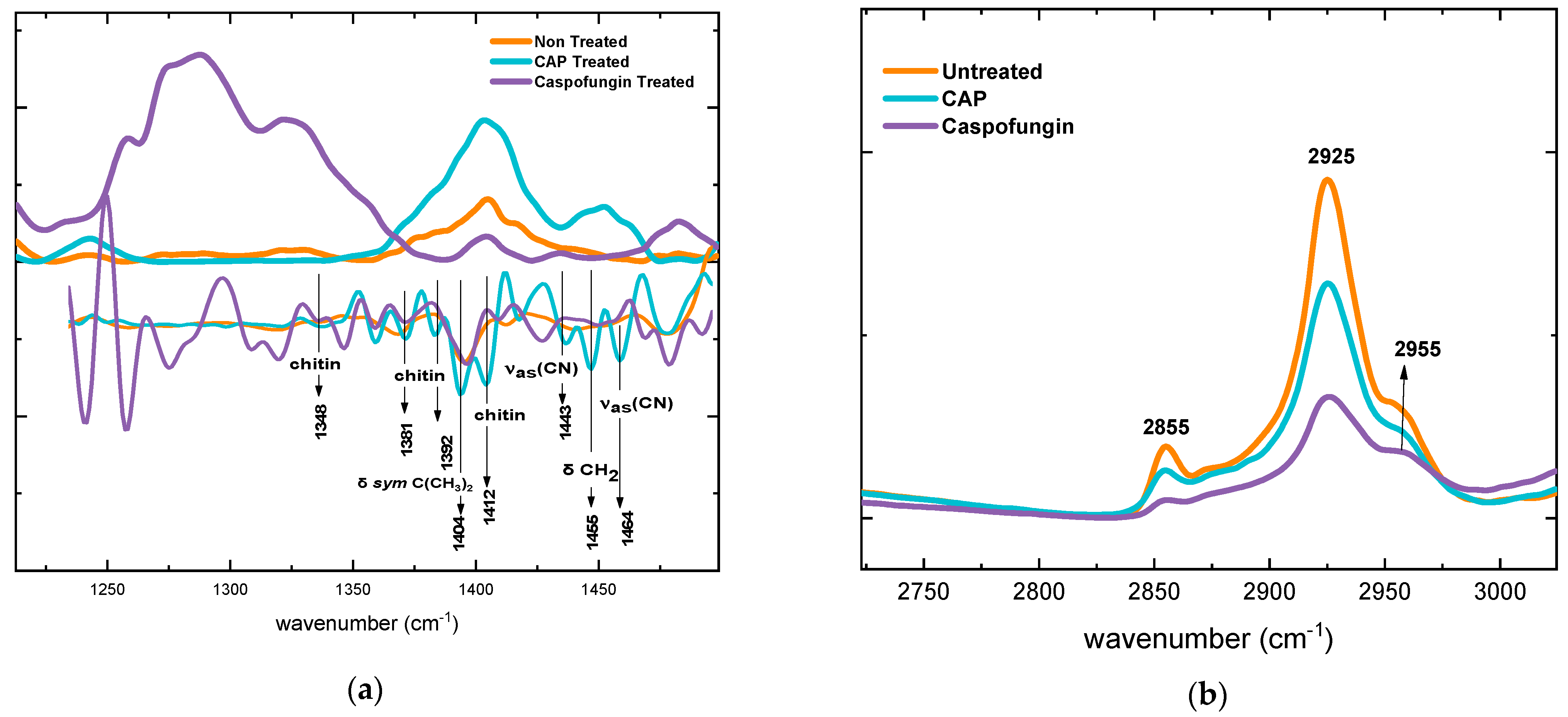 Molecules 28 07919 g006