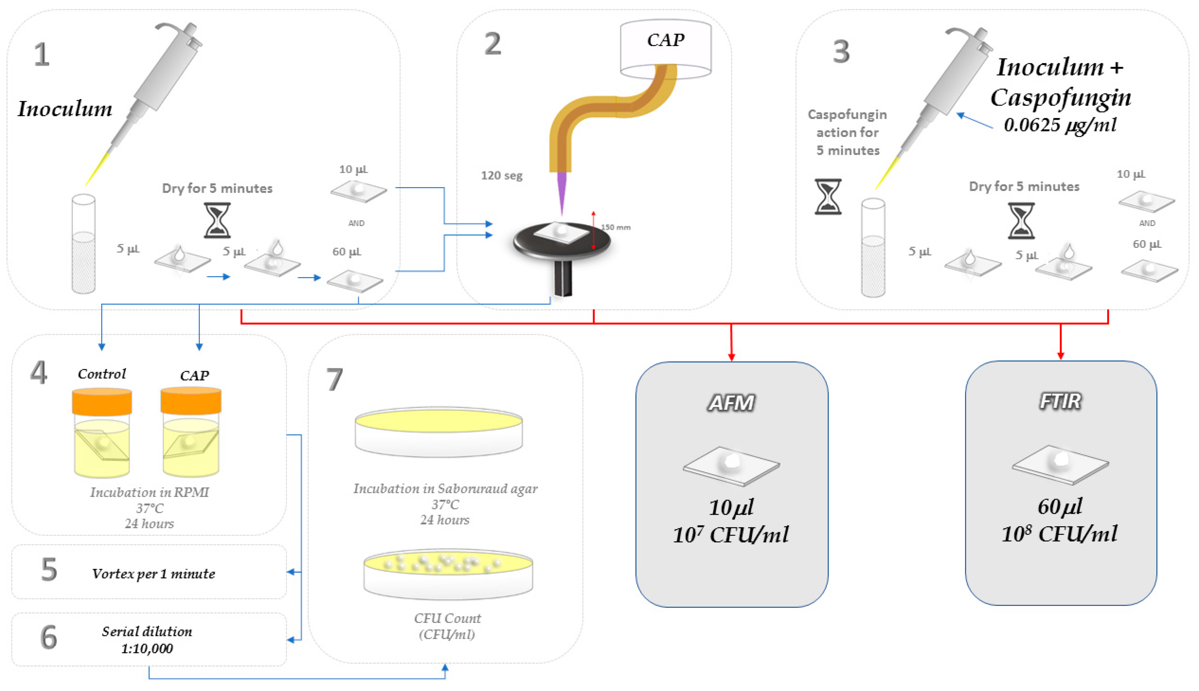Molecules 28 07919 g007