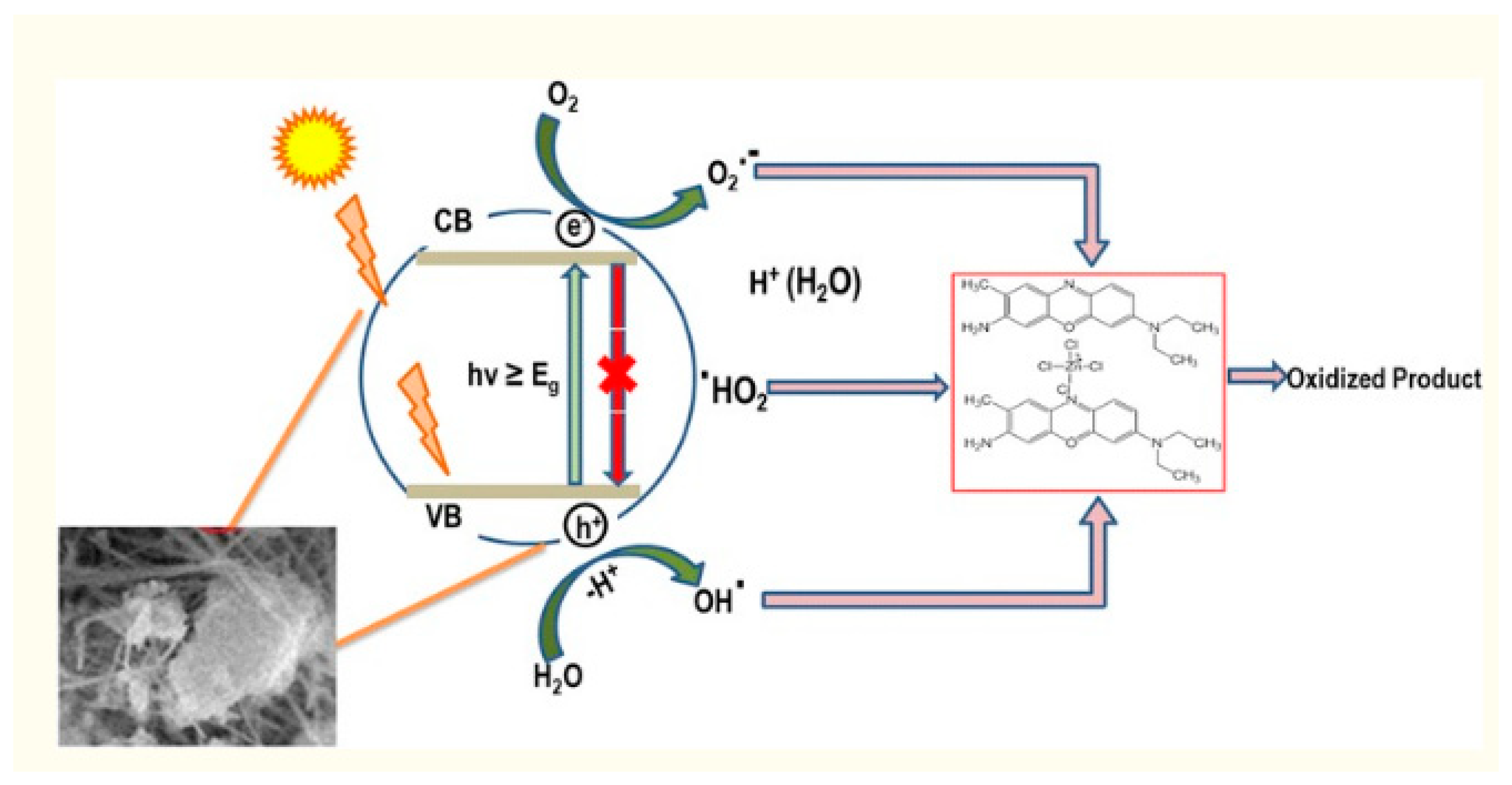 Molecules 28 07922 g004
