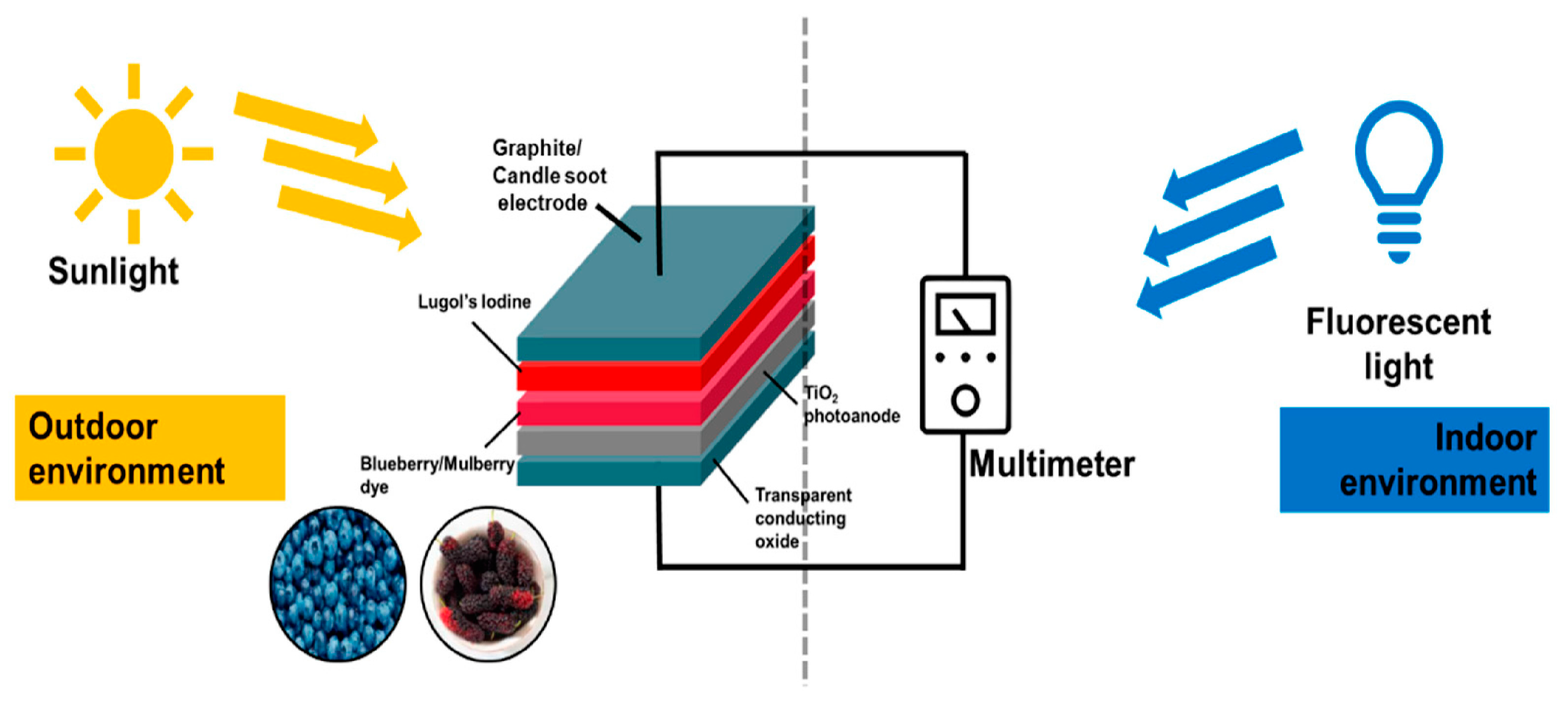 Molecules 28 07922 g007