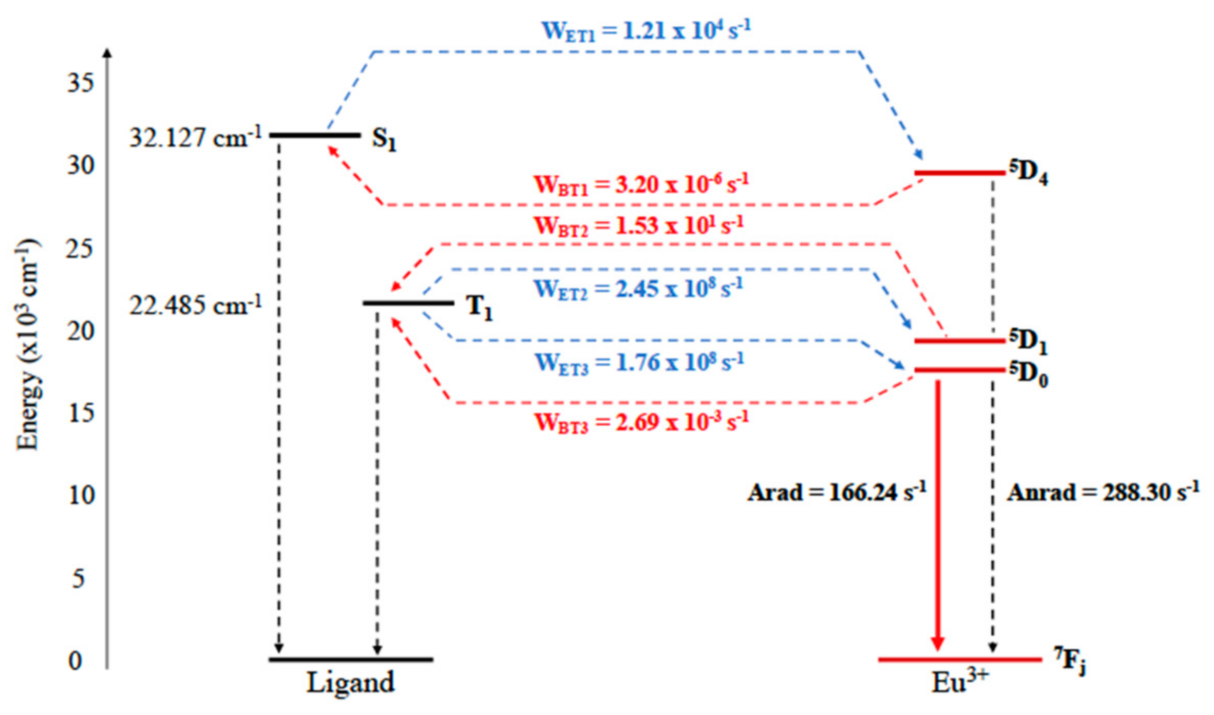 Molecules 28 07924 g003 Molecules 28 07924 g003