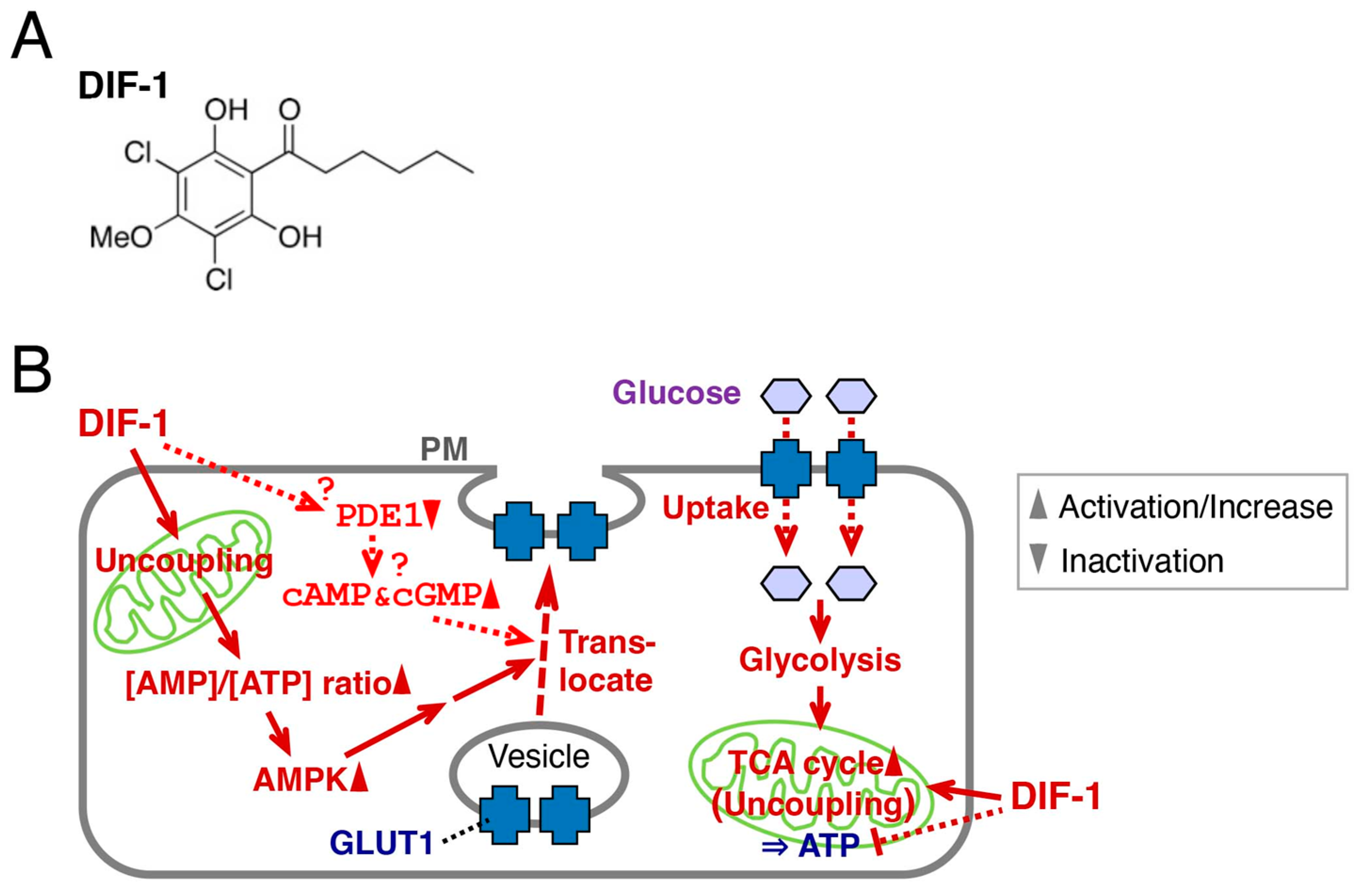 Molecules 28 07926 g001 Molecules 28 07926 g001