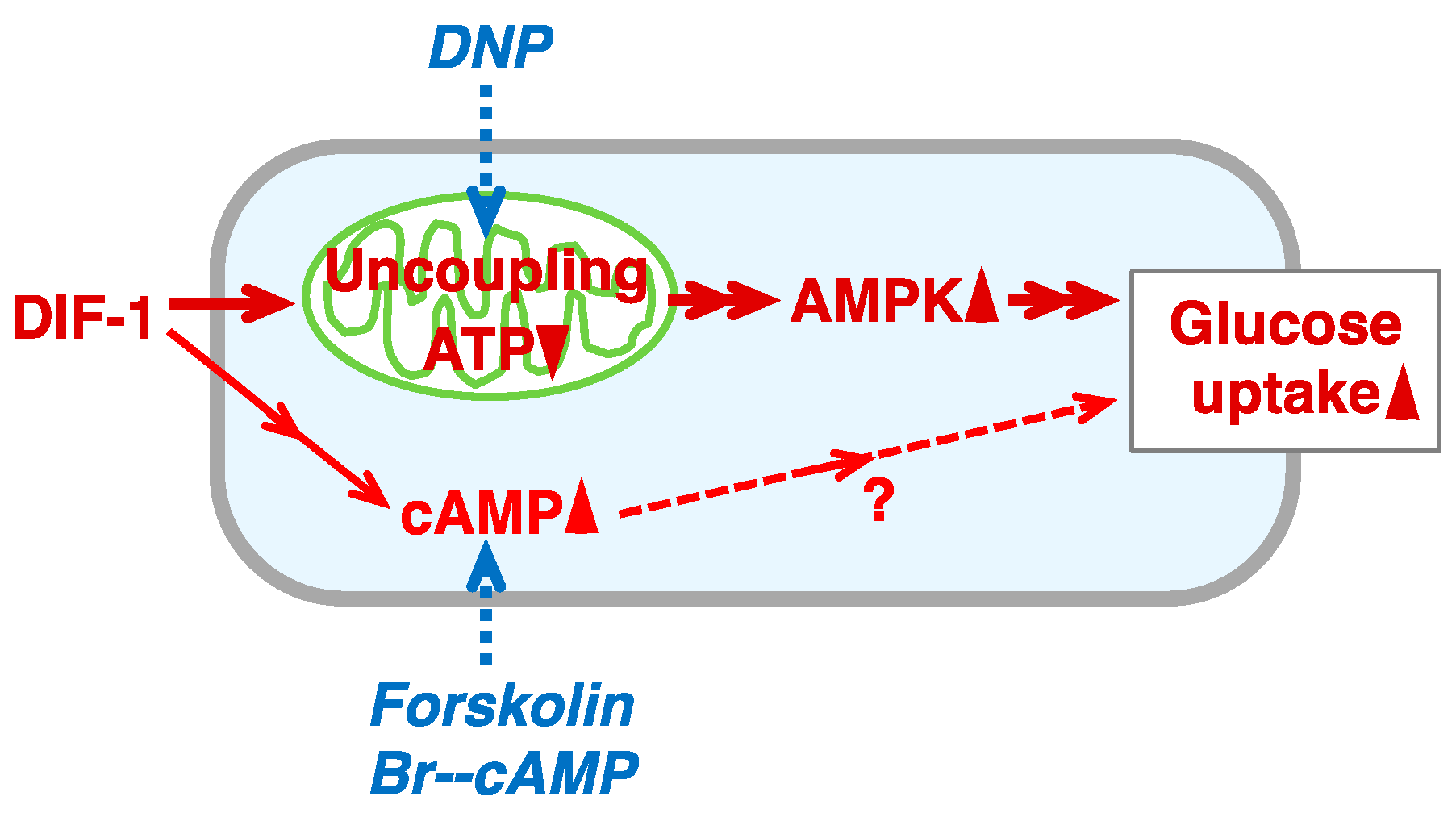 Molecules 28 07926 g011 Molecules 28 07926 g011