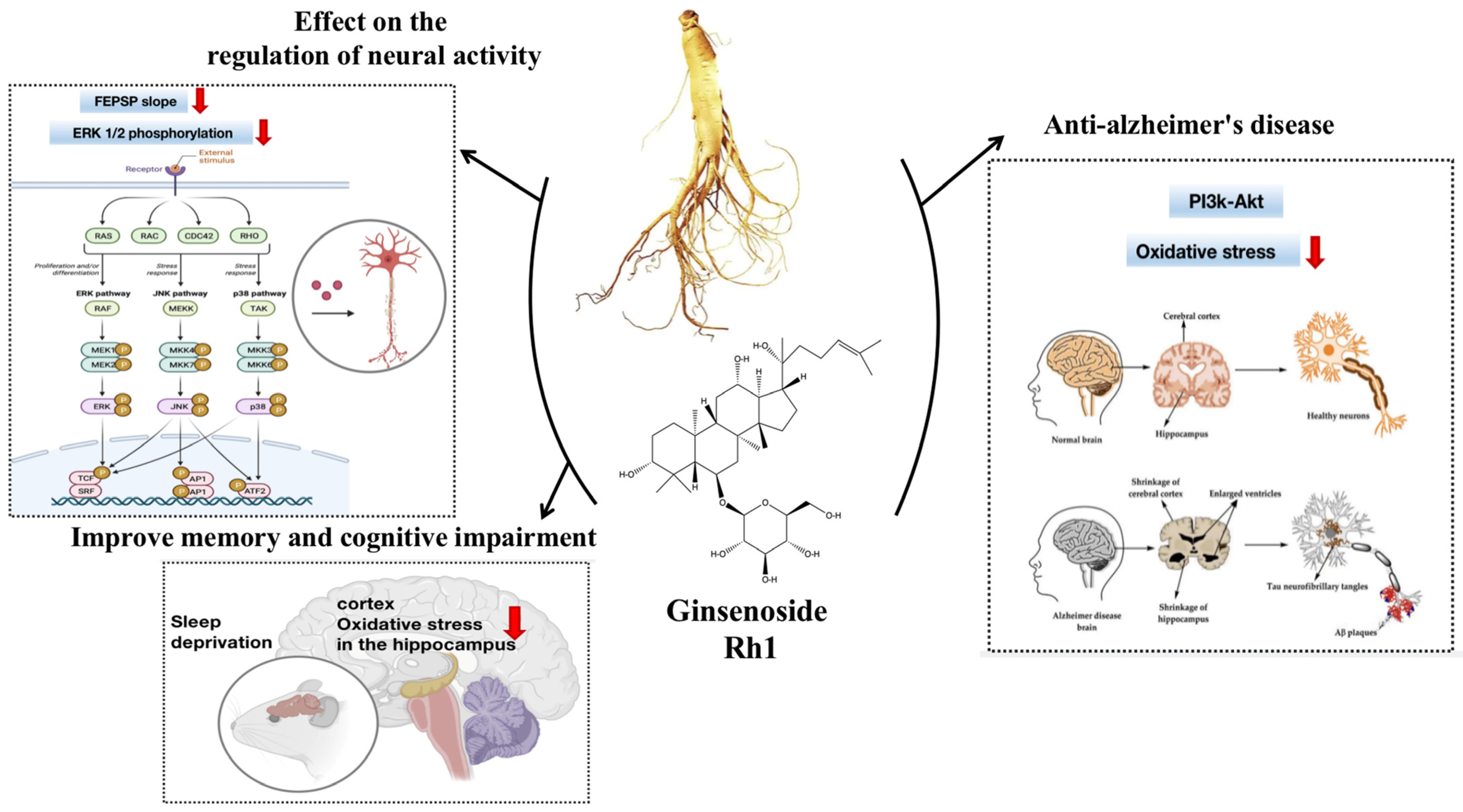 Molecules 28 07935 g003