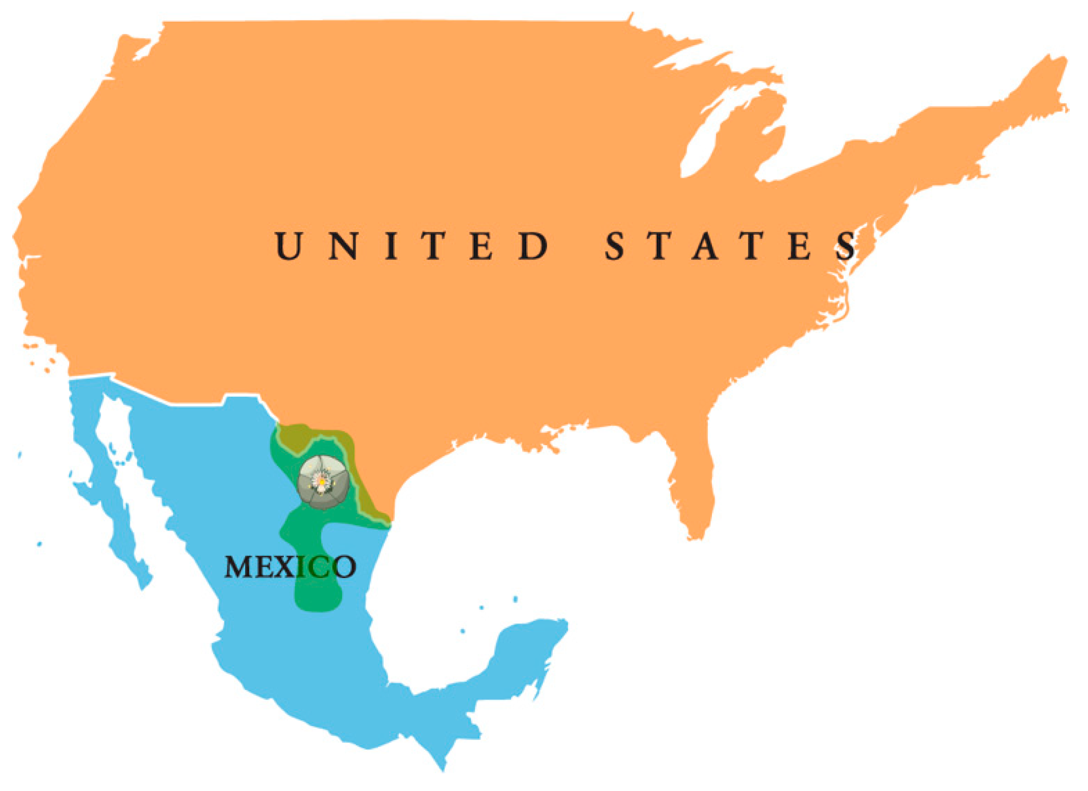 Molecules 28 07942 g003