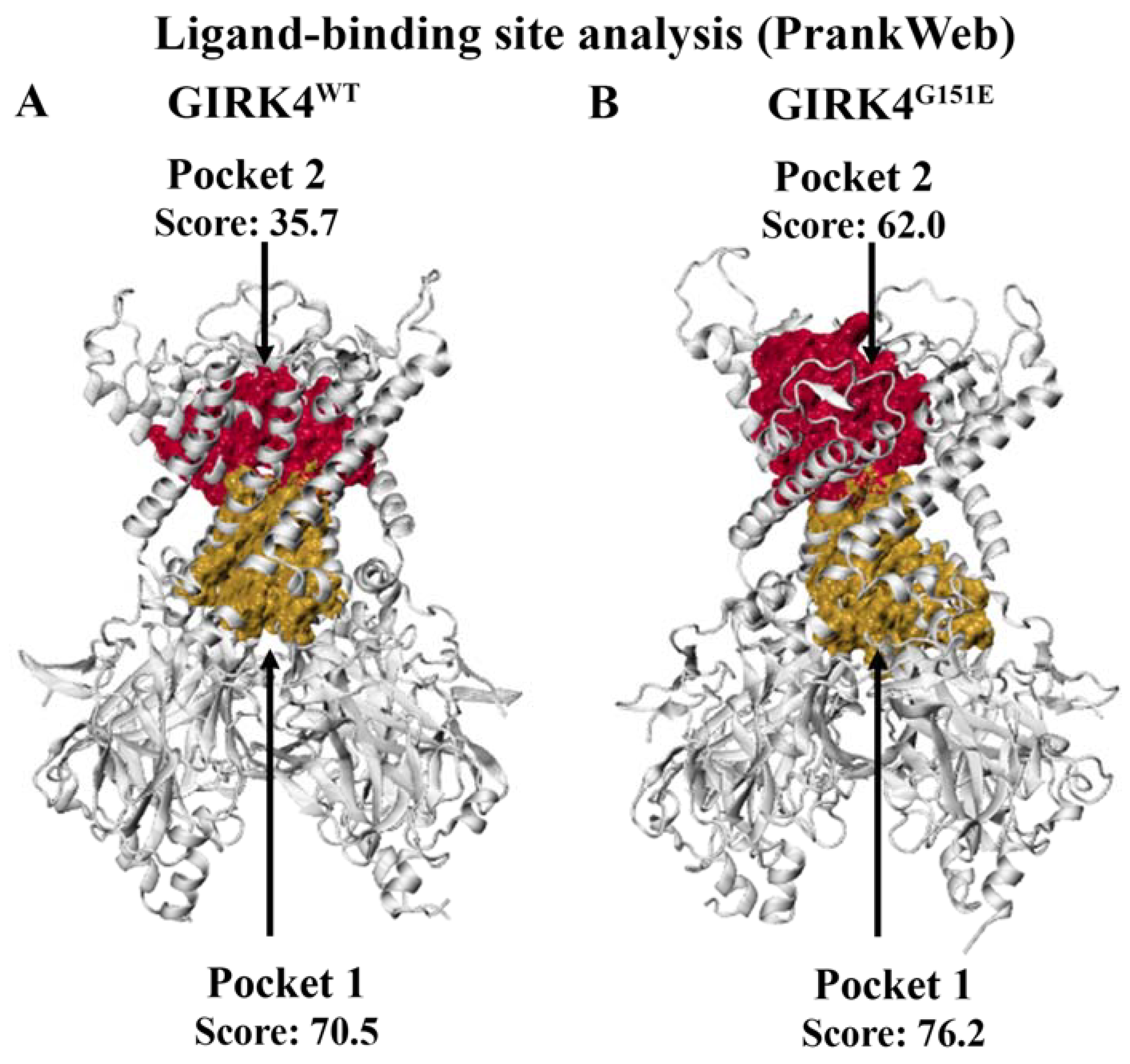 Molecules 28 07946 g003