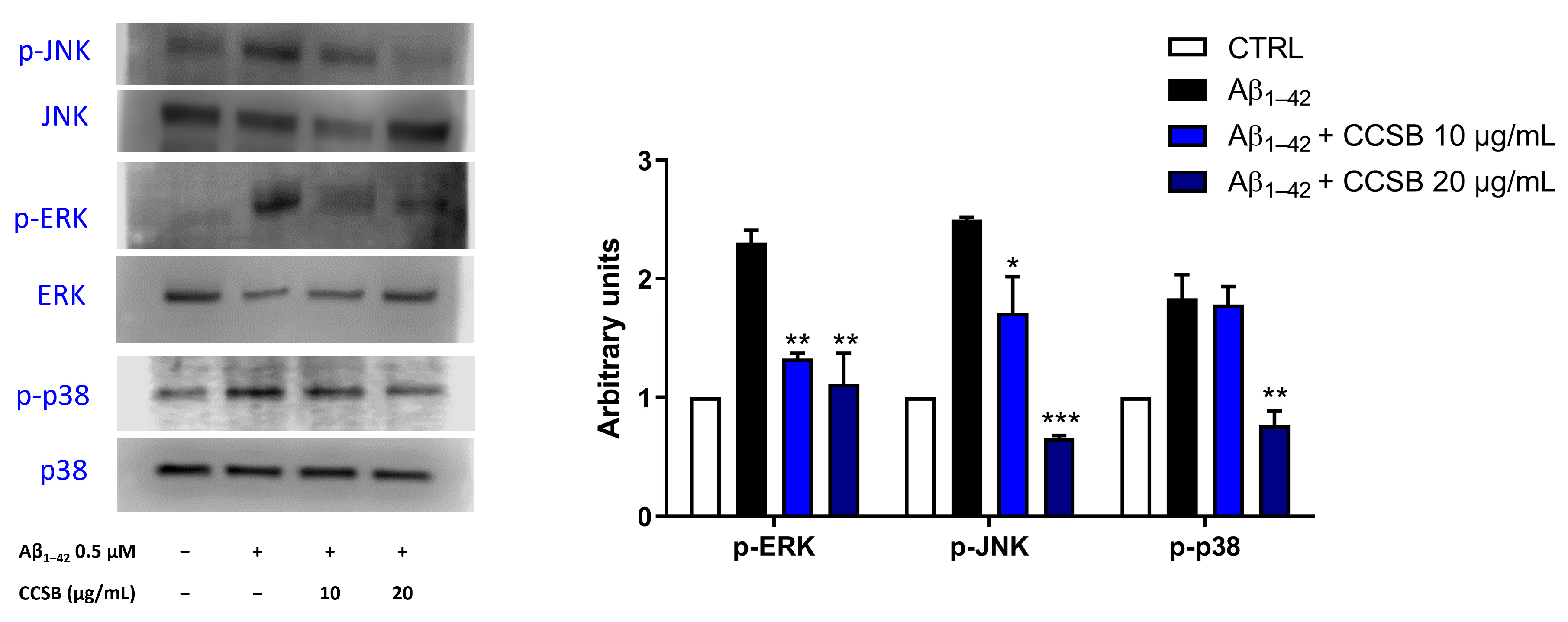 Molecules 28 07949 g006