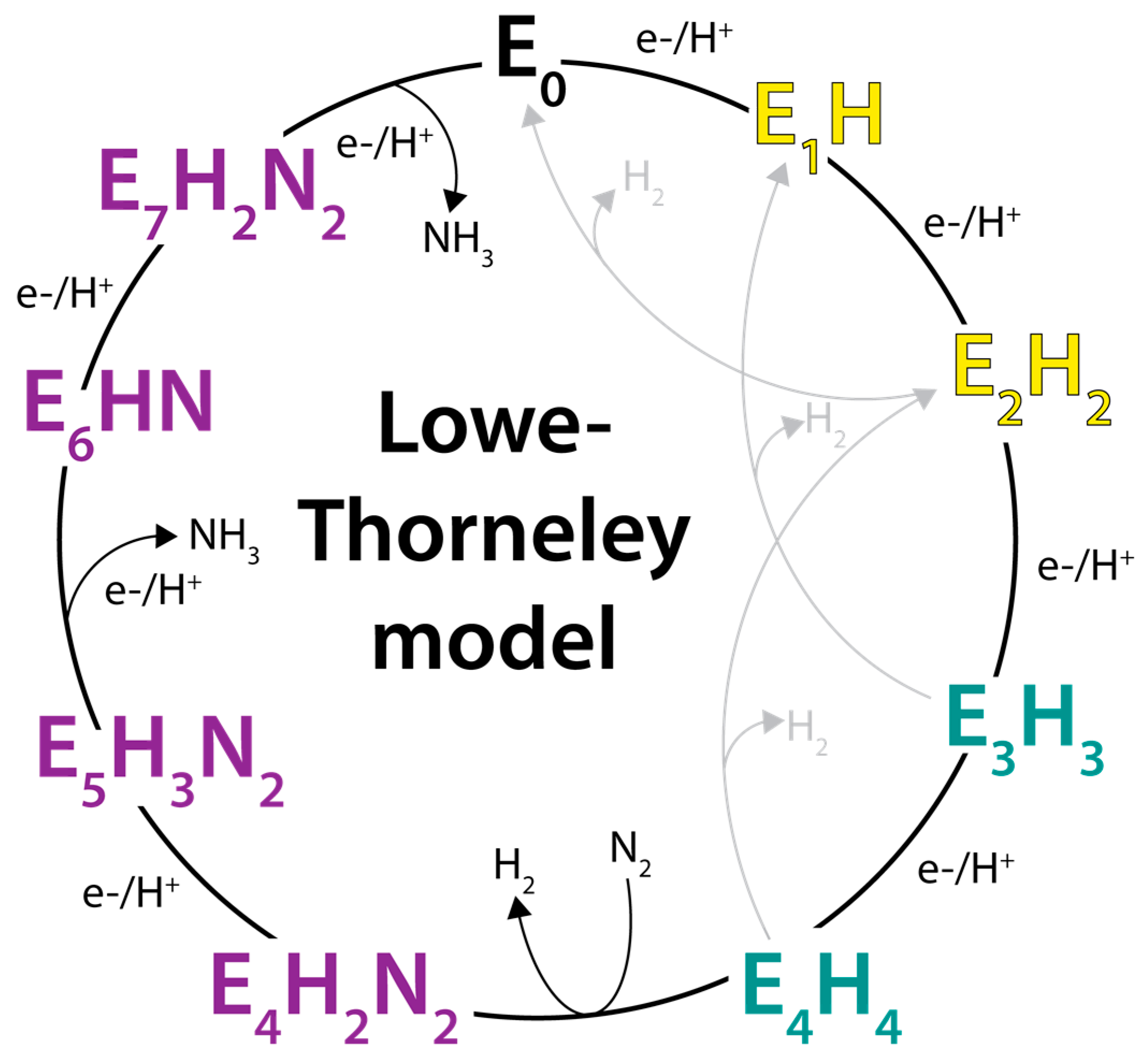 Molecules 28 07952 g002 Molecules 28 07952 g002