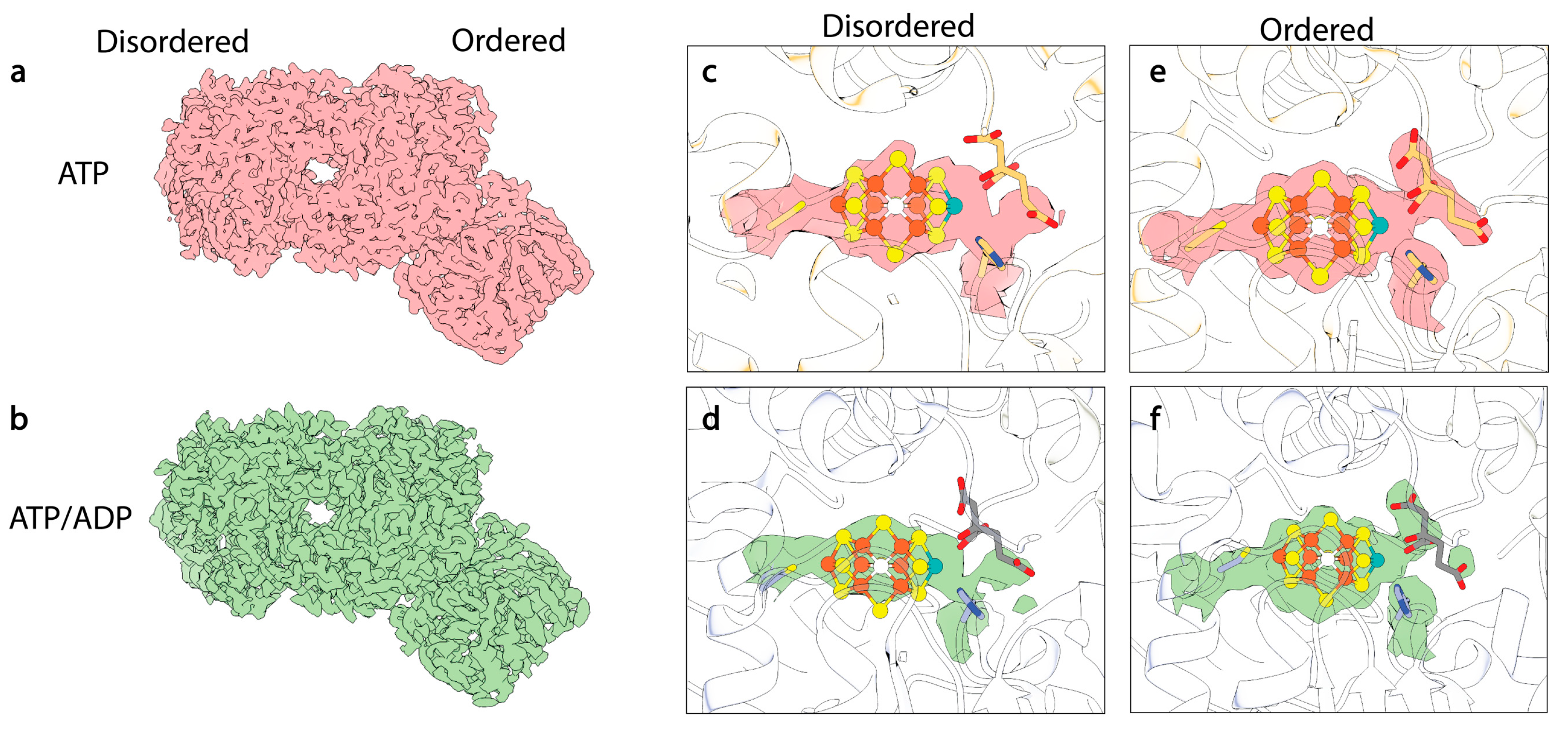 Molecules 28 07952 g007 Molecules 28 07952 g007