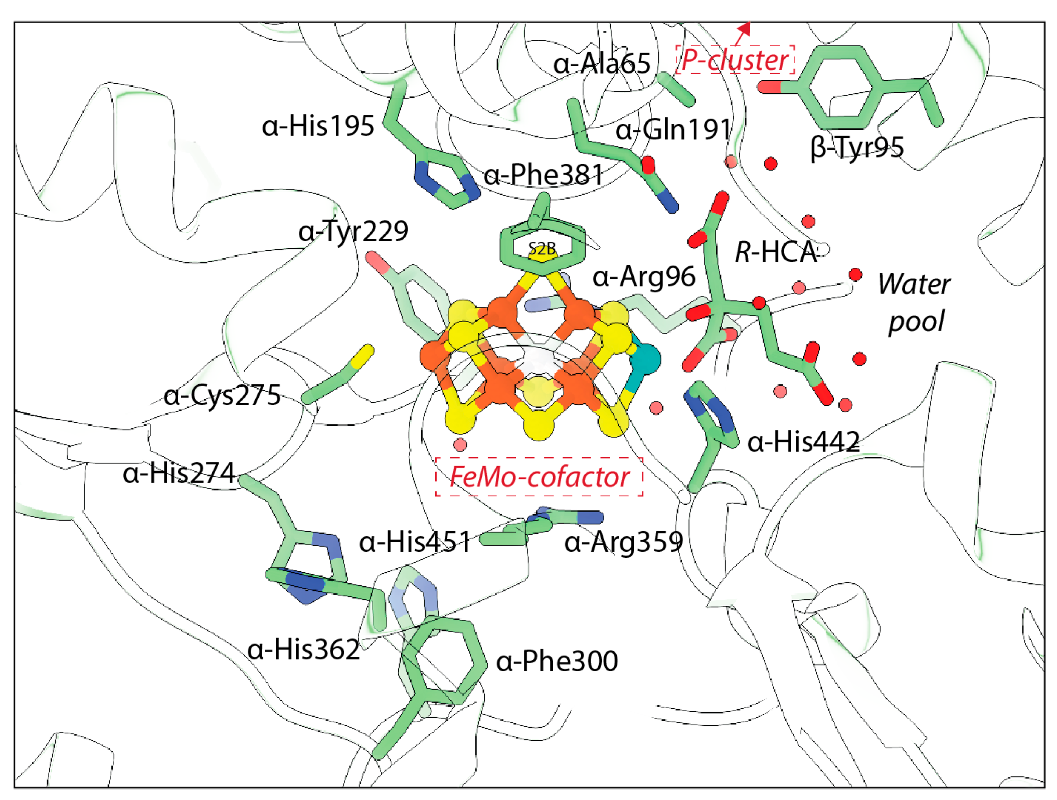 Molecules 28 07952 g009 Molecules 28 07952 g009