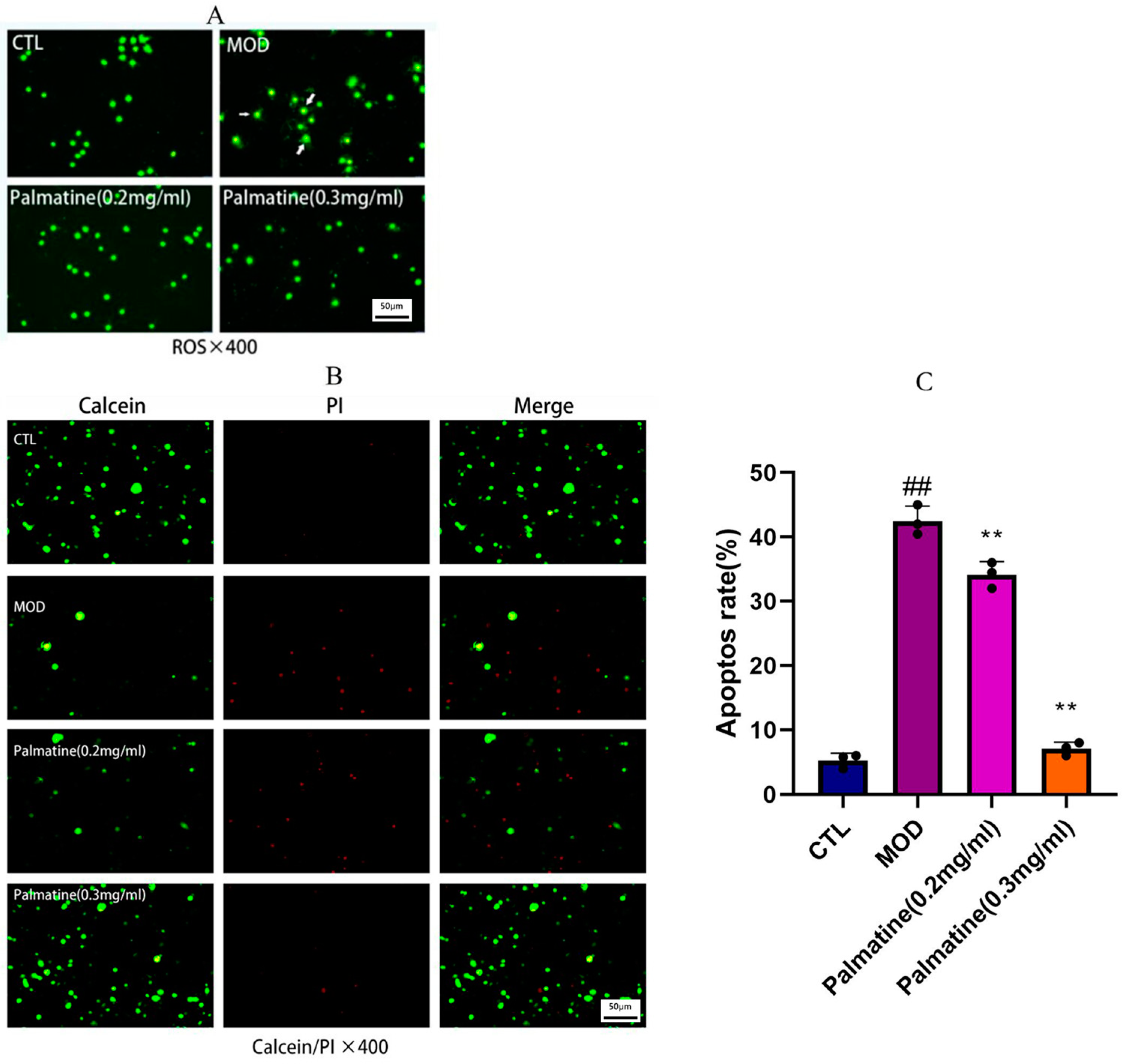 Molecules 28 07955 g002