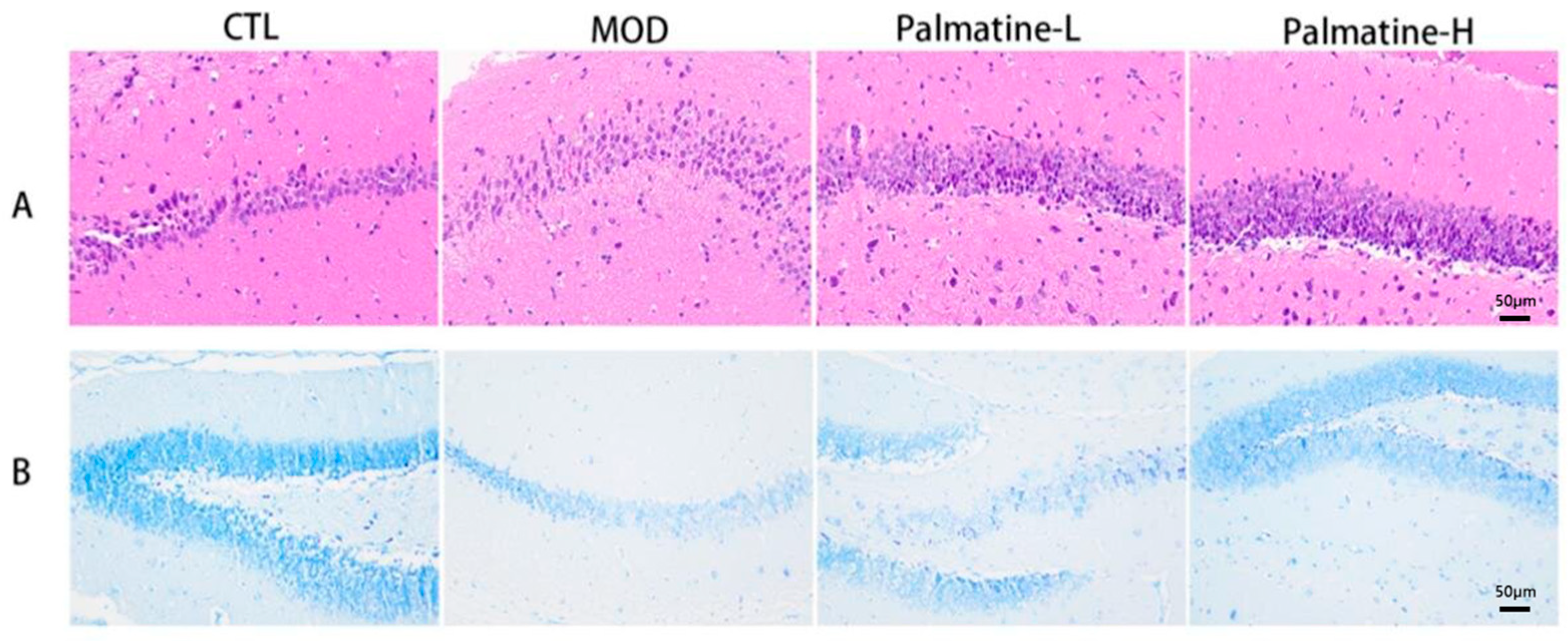 Molecules 28 07955 g005