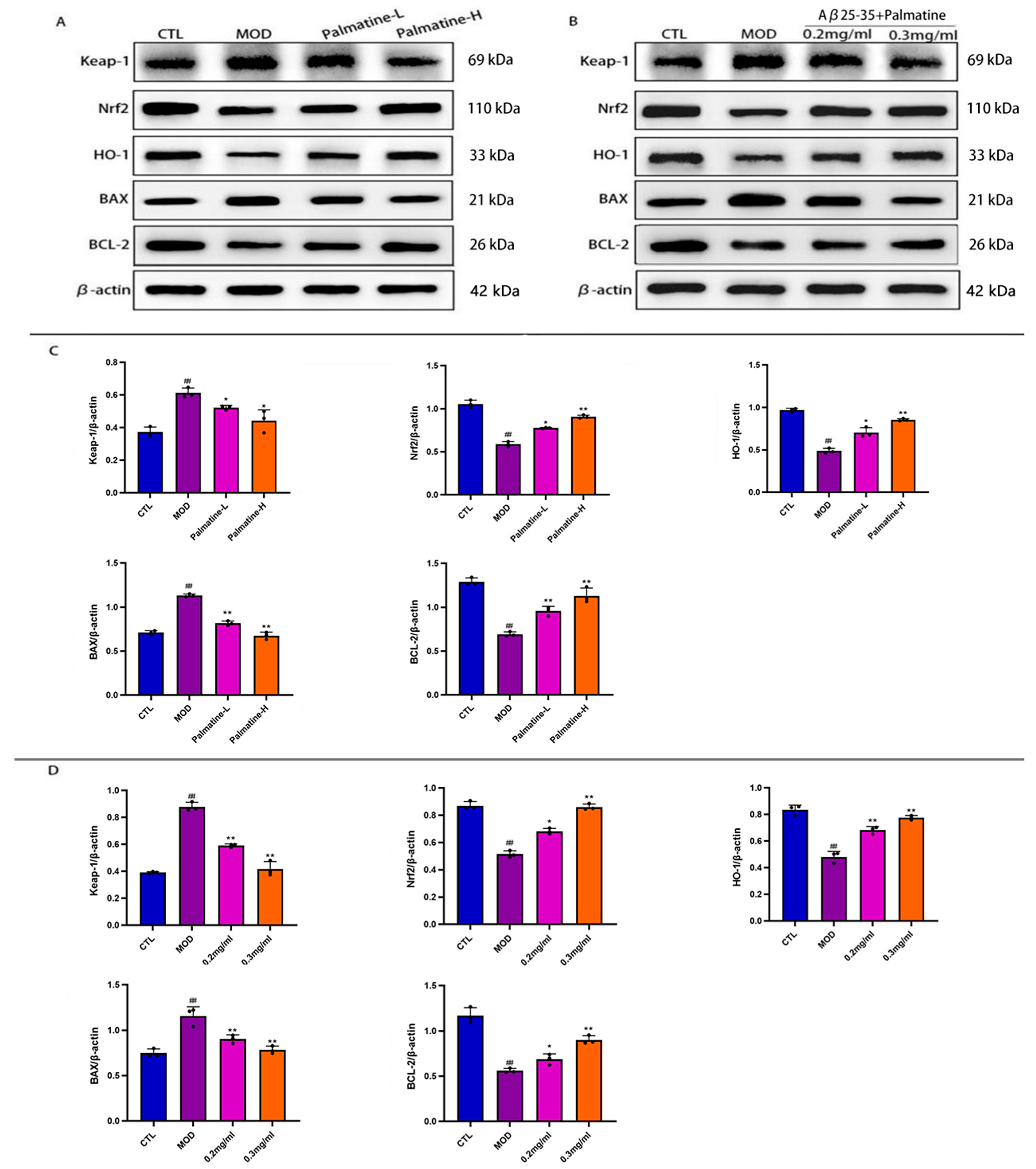 Molecules 28 07955 g006