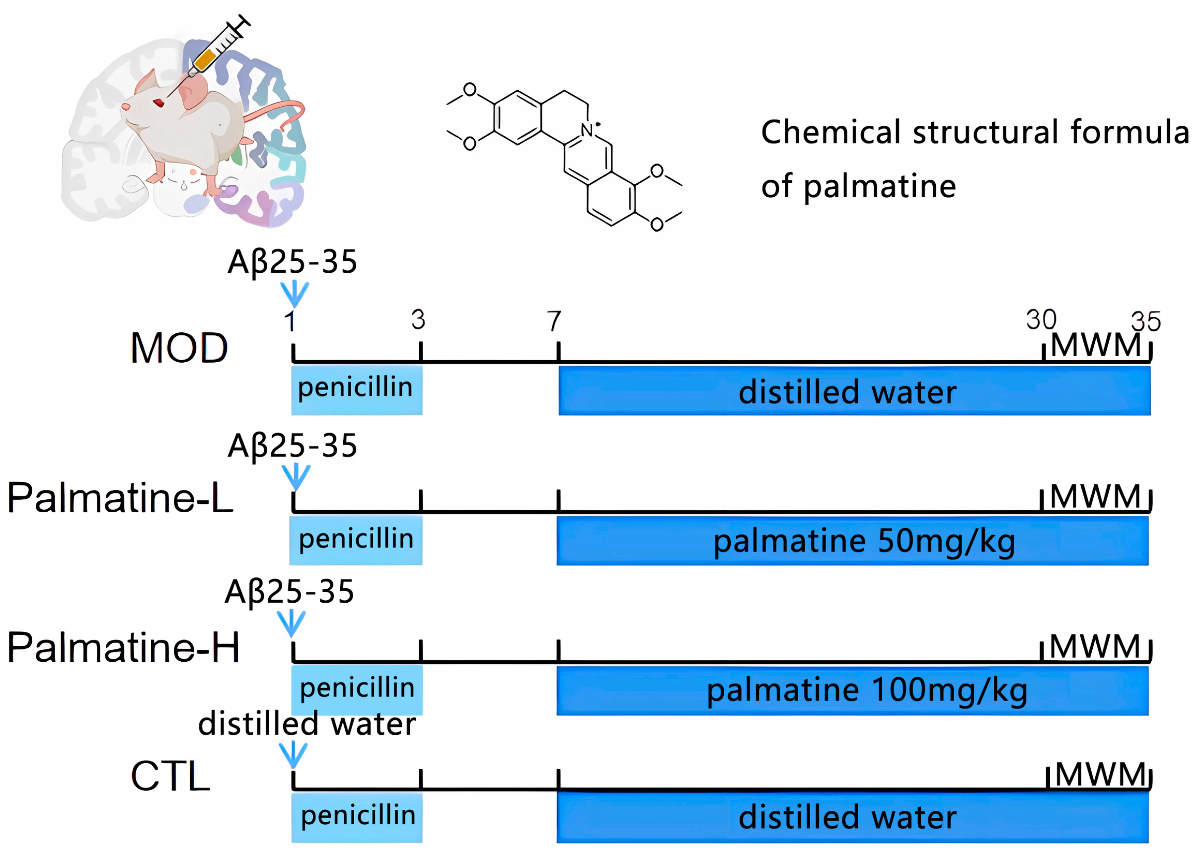 Molecules 28 07955 g007
