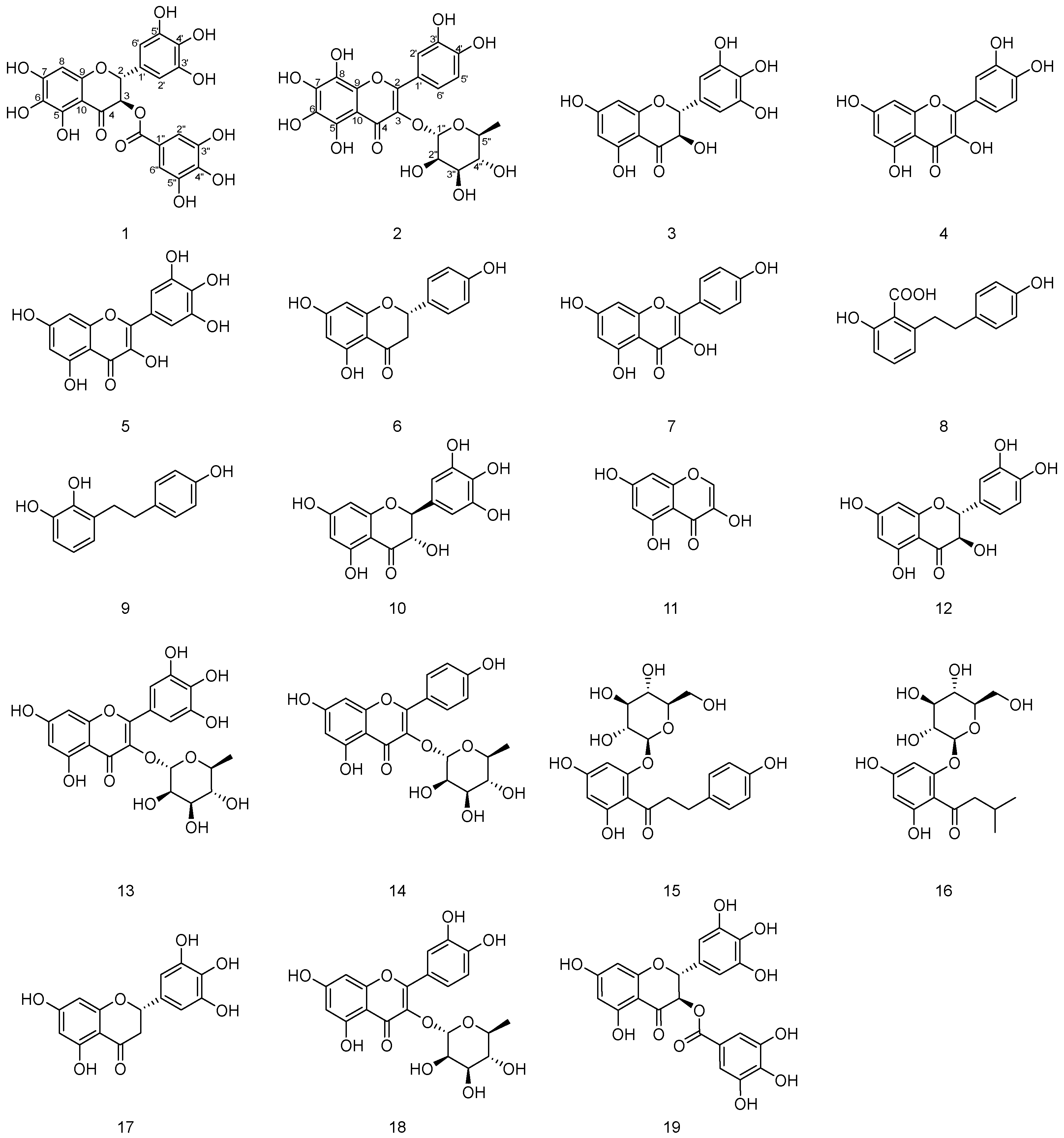 Molecules 28 07956 g001