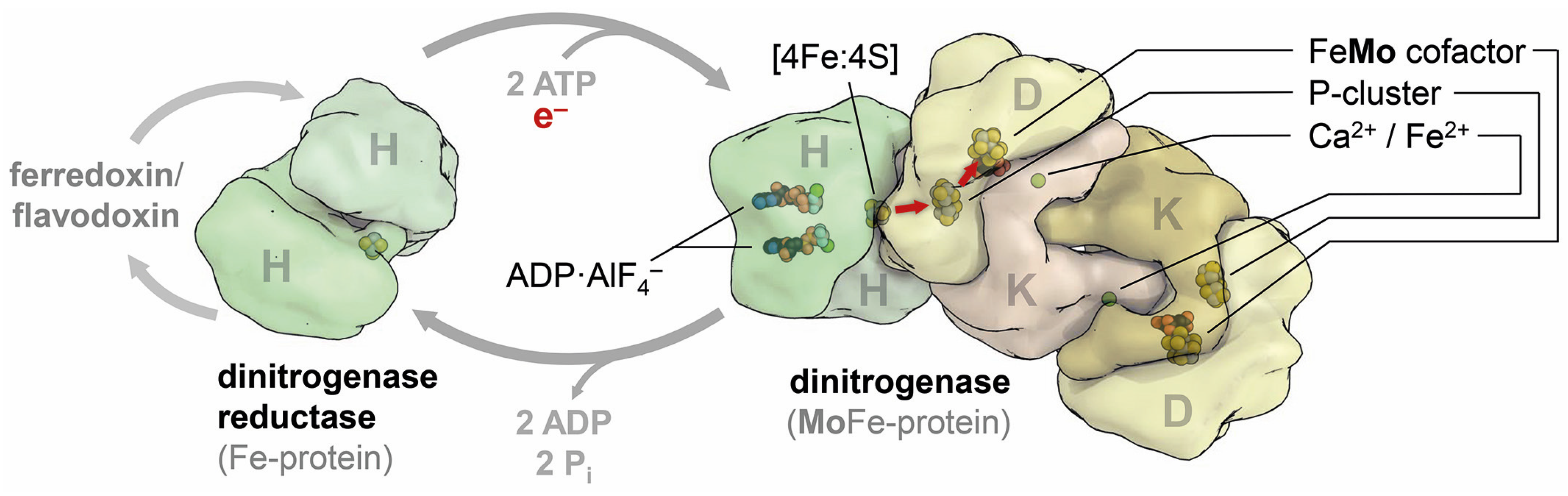 Molecules 28 07959 g001